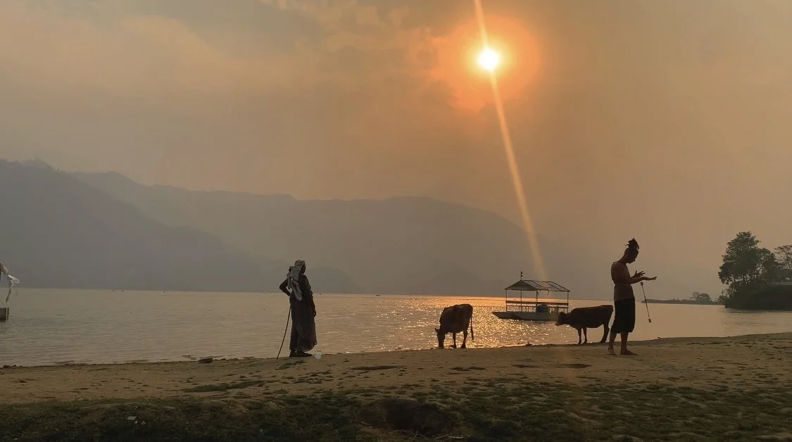 A woman, her cows, and a flow artist at sunset.