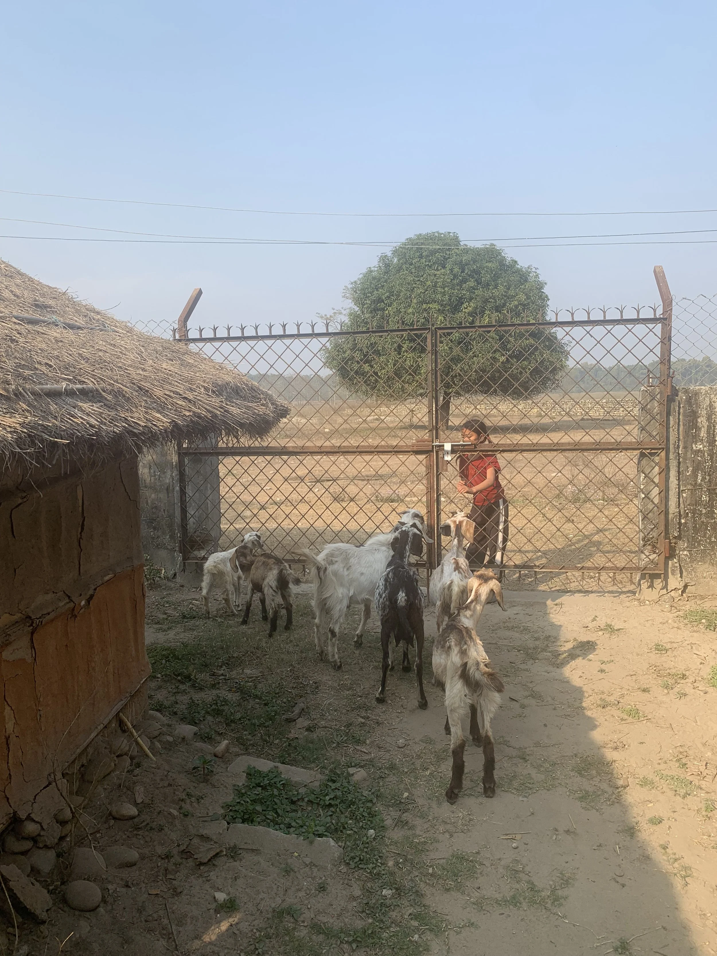 Slow scenes from an ancient, barely touched village in Nepal.