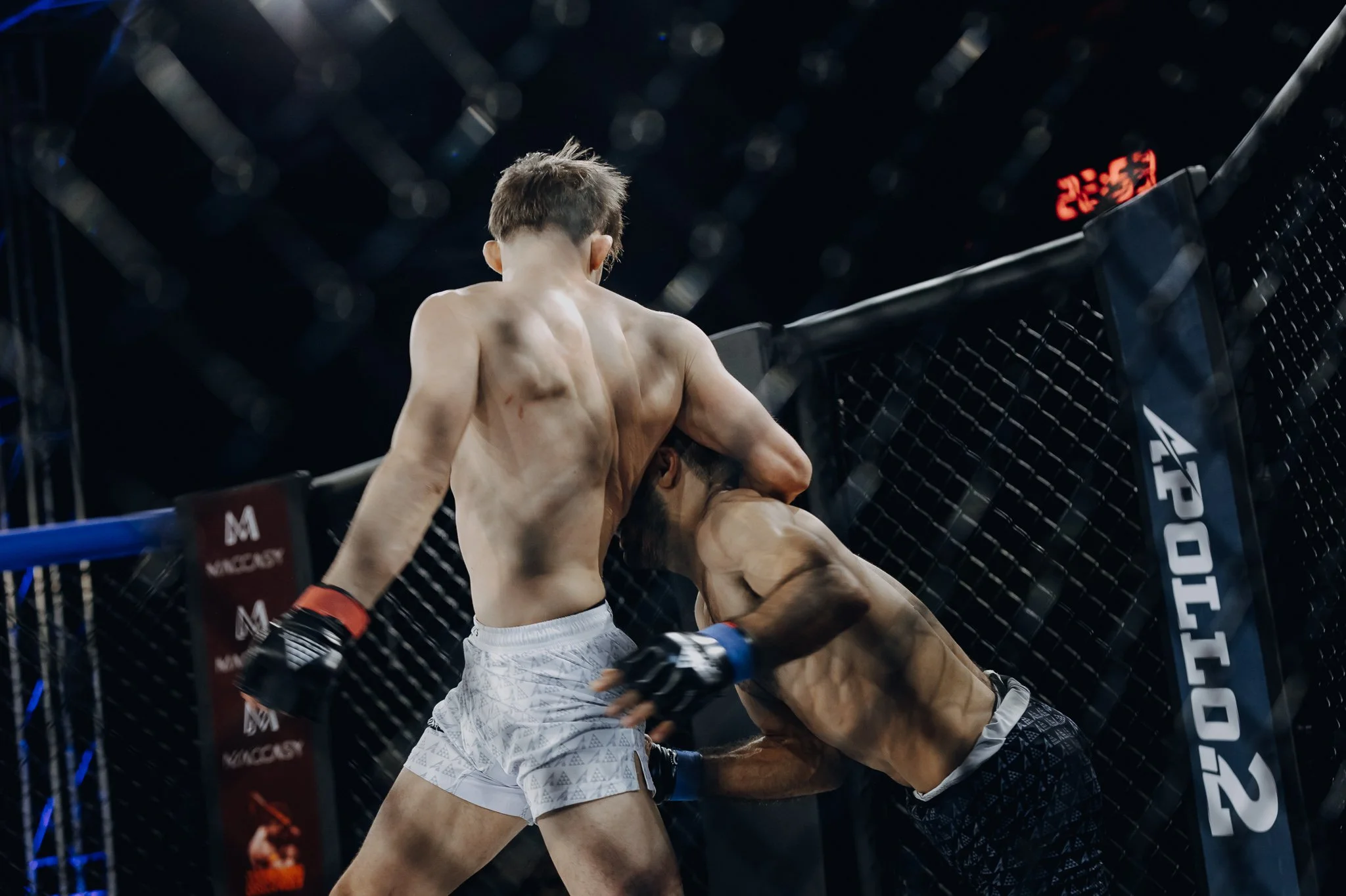 MMA Apollo - Movsar Ibragimov-5.jpg