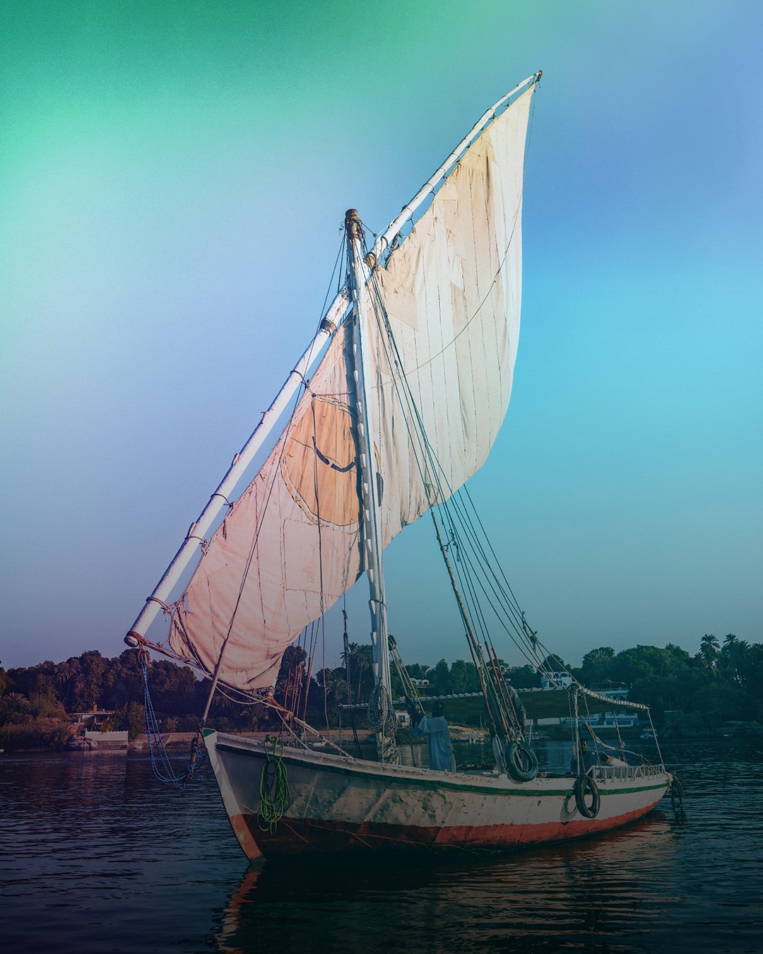 Artboard 1 copy 5.jpg