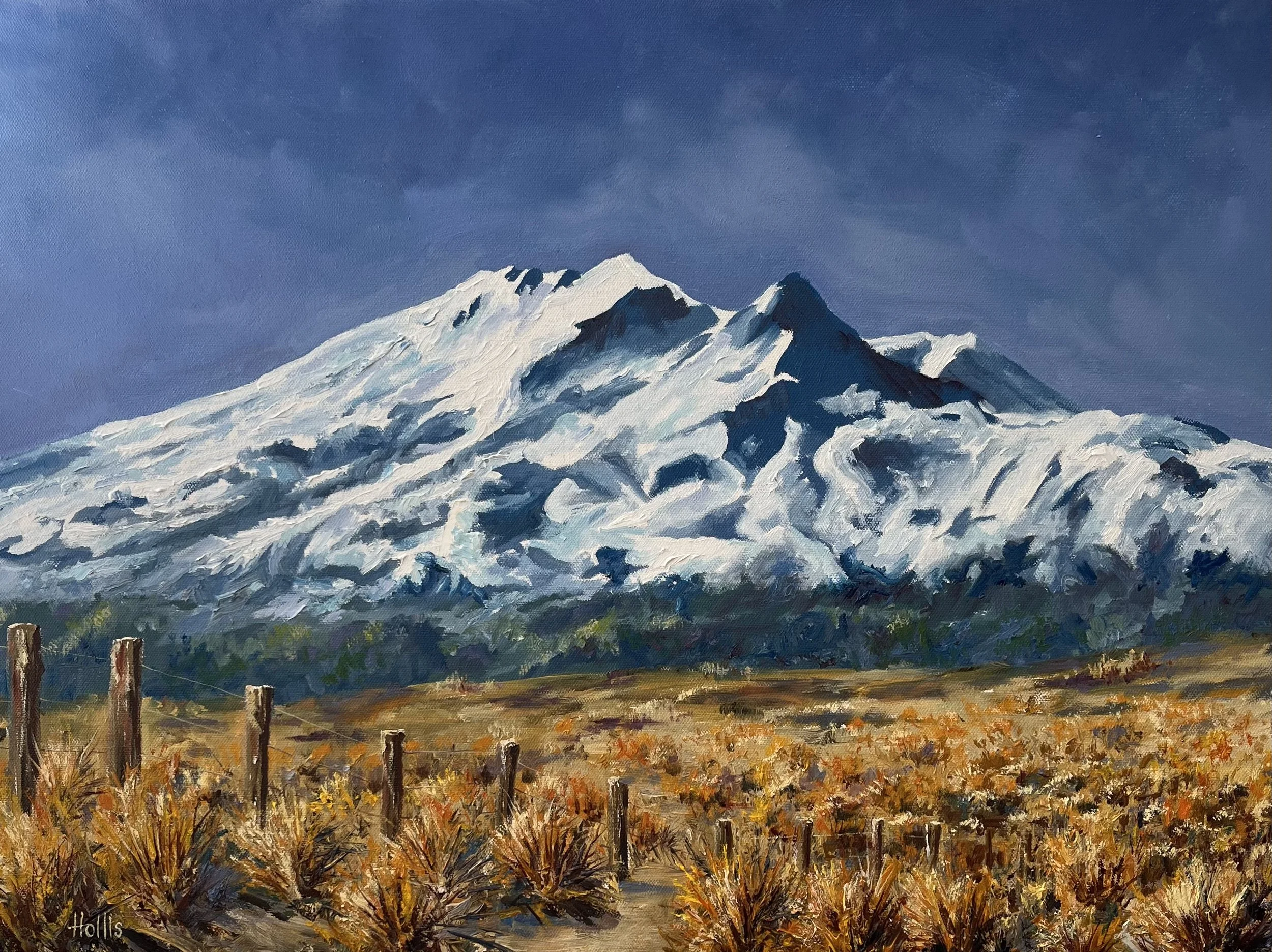 Open studio Mount Ruapehu.jpeg