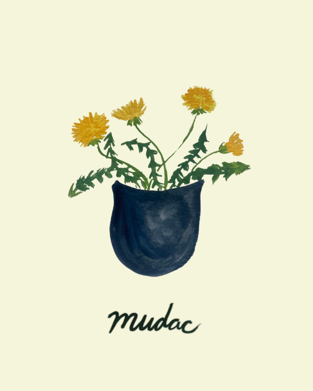 Mudac.png