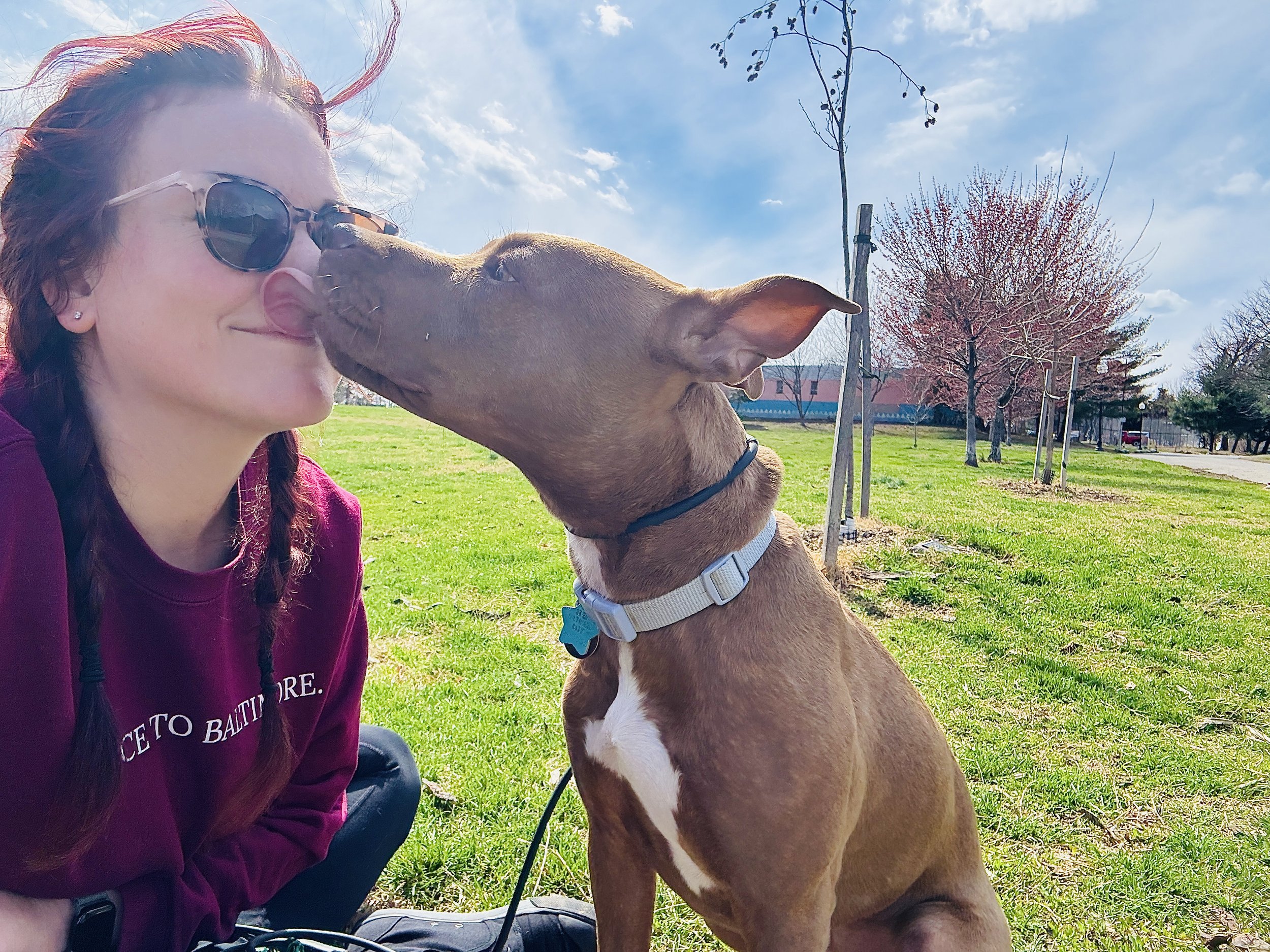 Dog Visits in Baltimore