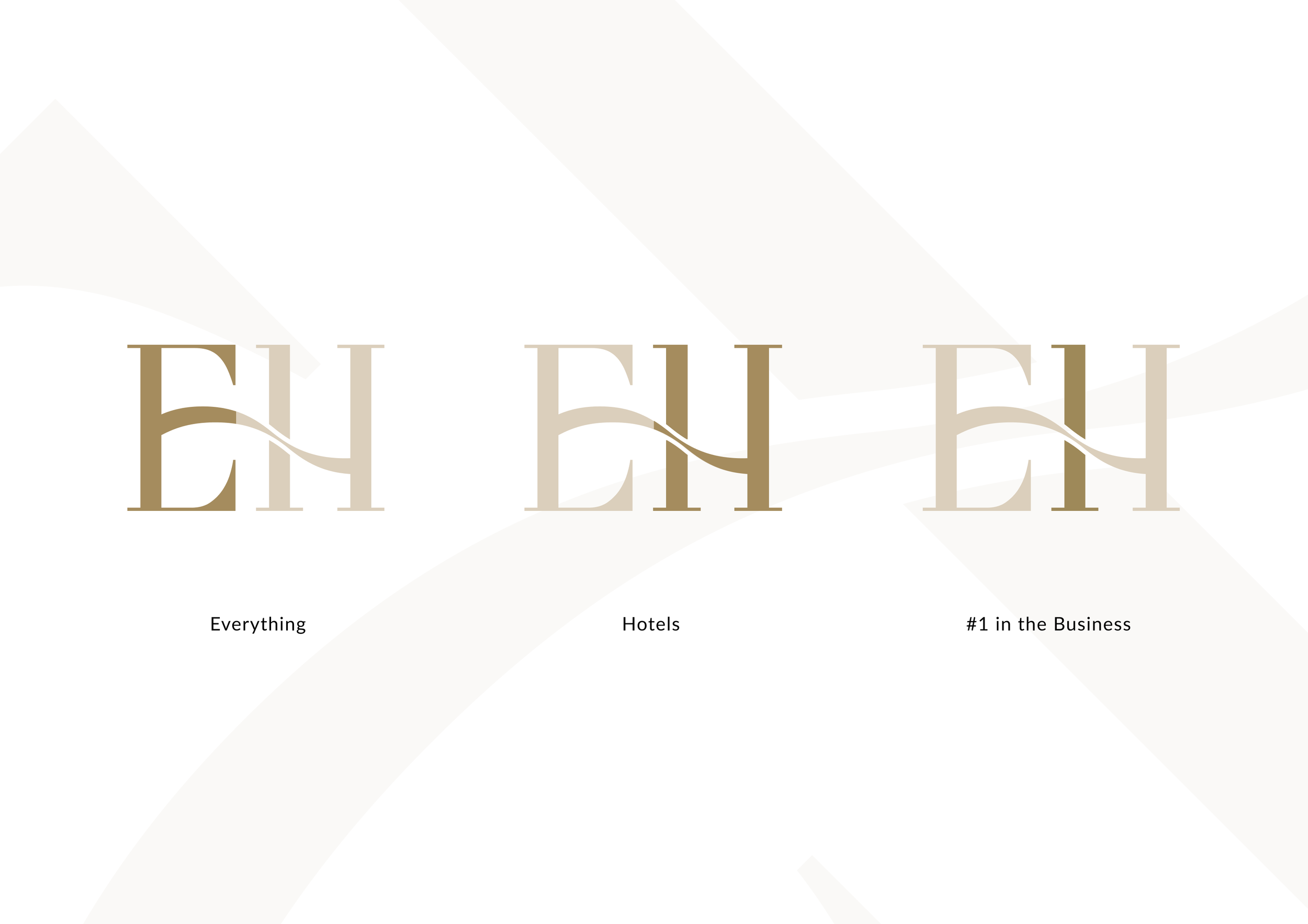 Everything Hotels_Logo Process.png
