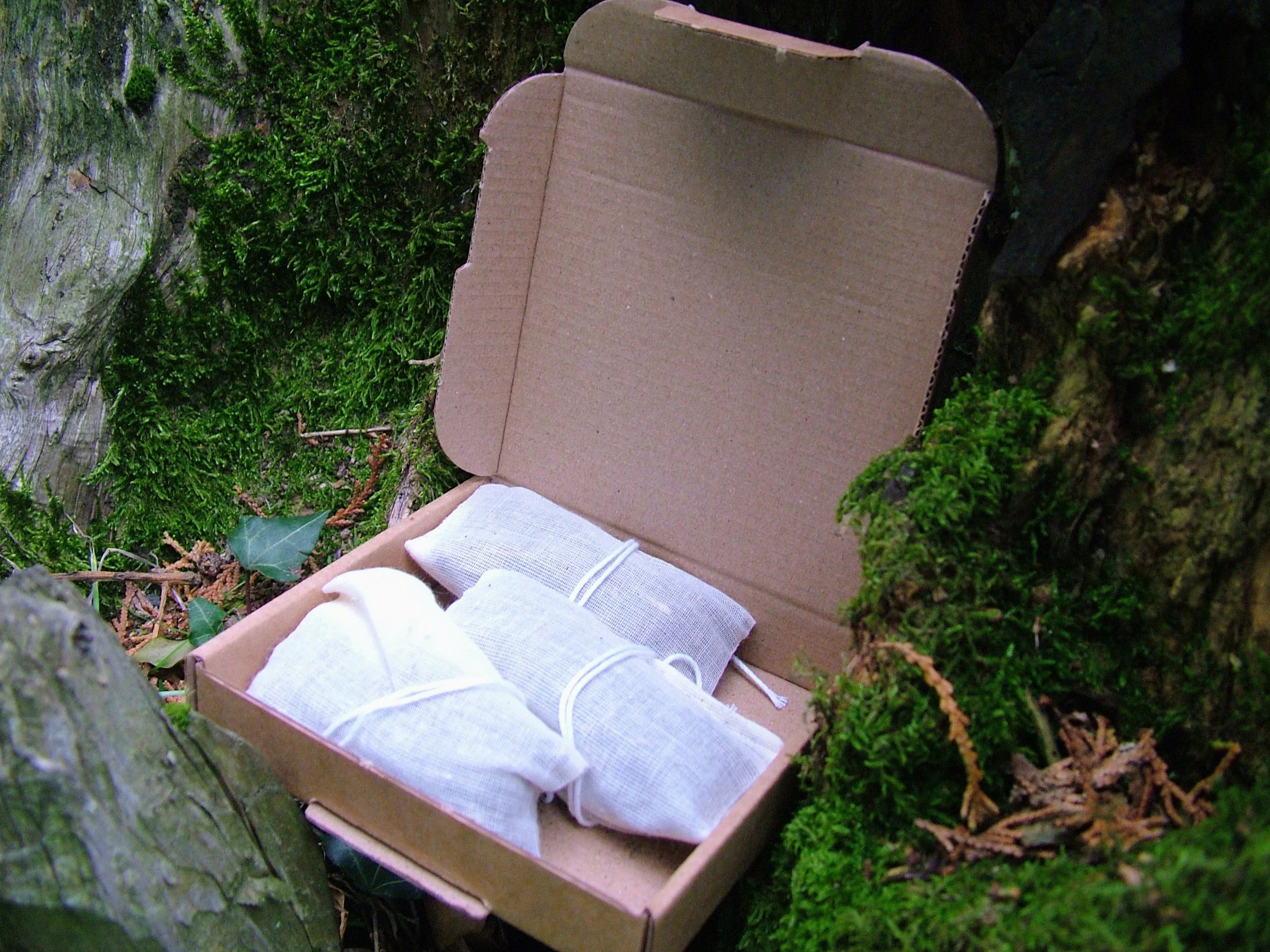 DSCF4473~2.JPG (Copy)