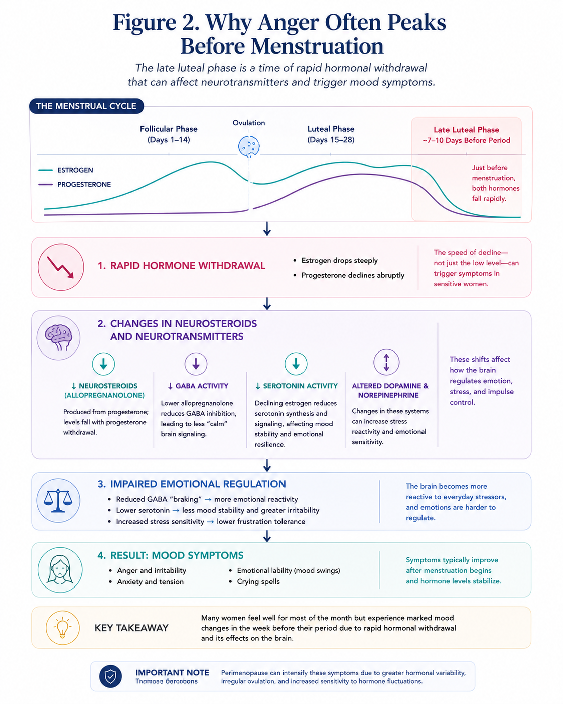 Figure 2. Why anger often peaks before menstruation, illustrating how rapid estrogen and progesterone withdrawal during the late luteal phase influences neurosteroids, neurotransmitters, emotional regulation, and mood symptoms during perimenopause