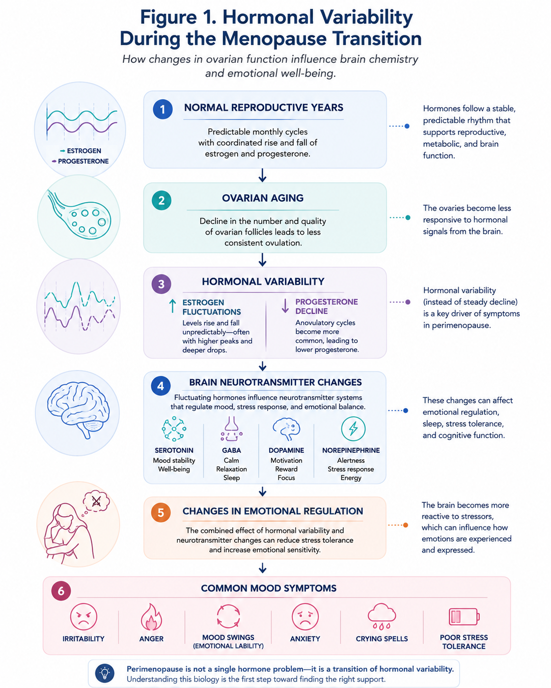 Figure 1.Hormonal variability during the menopause transition illustrating how ovarian aging leads to fluctuating estrogen and progesterone levels, changes in brain neurotransmitters, altered emotional regulation, and common perimenopausal symptoms.