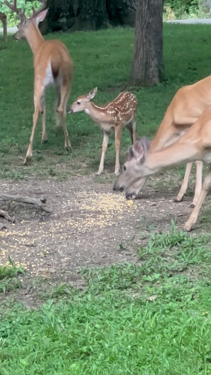 I’ve got 5 extra bucks and a little doe if anyone needs a loan.