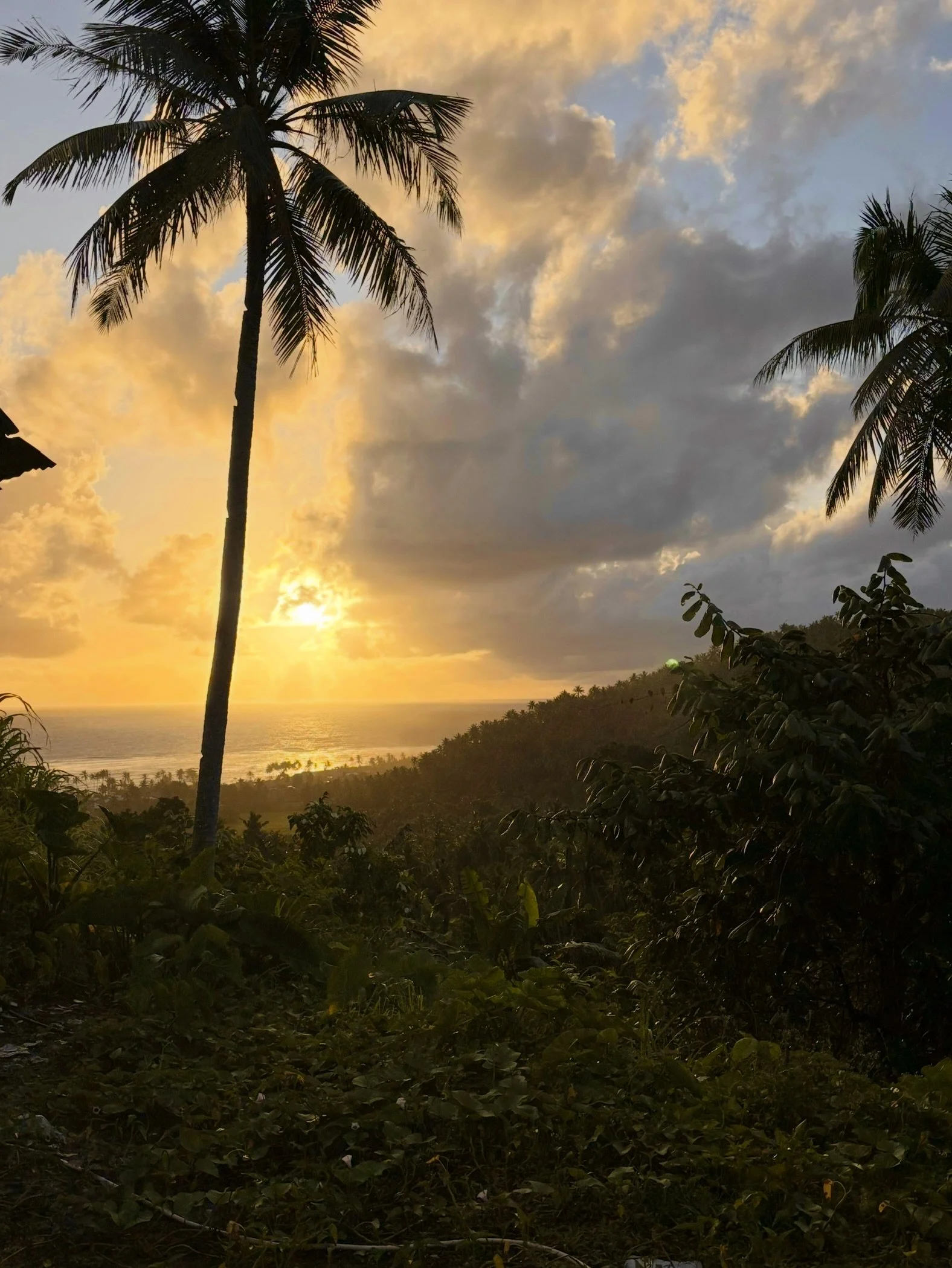 Casa Hydra : A land that felt like remembering