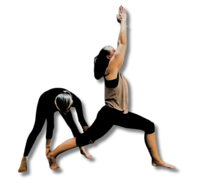 Design sans titre-41.png