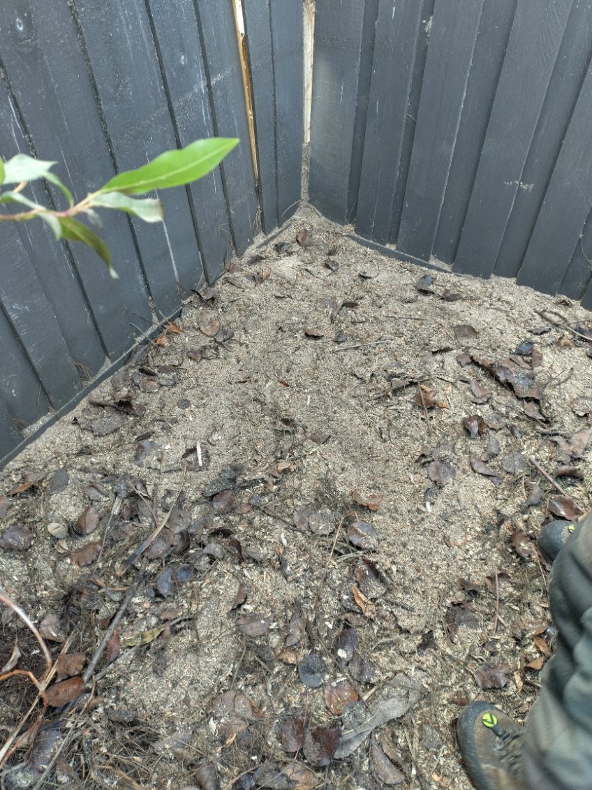 A corner of a garden bed with dark wood fencing, filled with dirt and scattered leaves, and a person partially visible wearing hiking shoes.