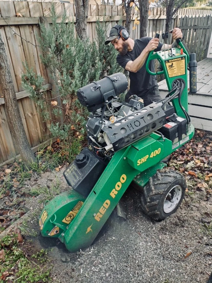 Qualified arborist operating a Red Roo SHP400 stump grinder to grind a tree stump in a backyard with a wooden fence and trees in the background.
