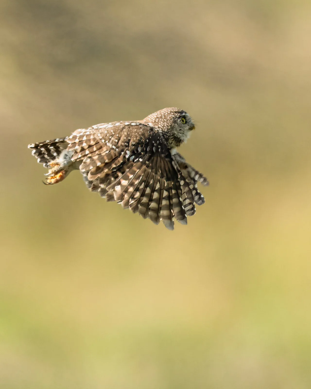 A1207681-Bearbeitet.jpg