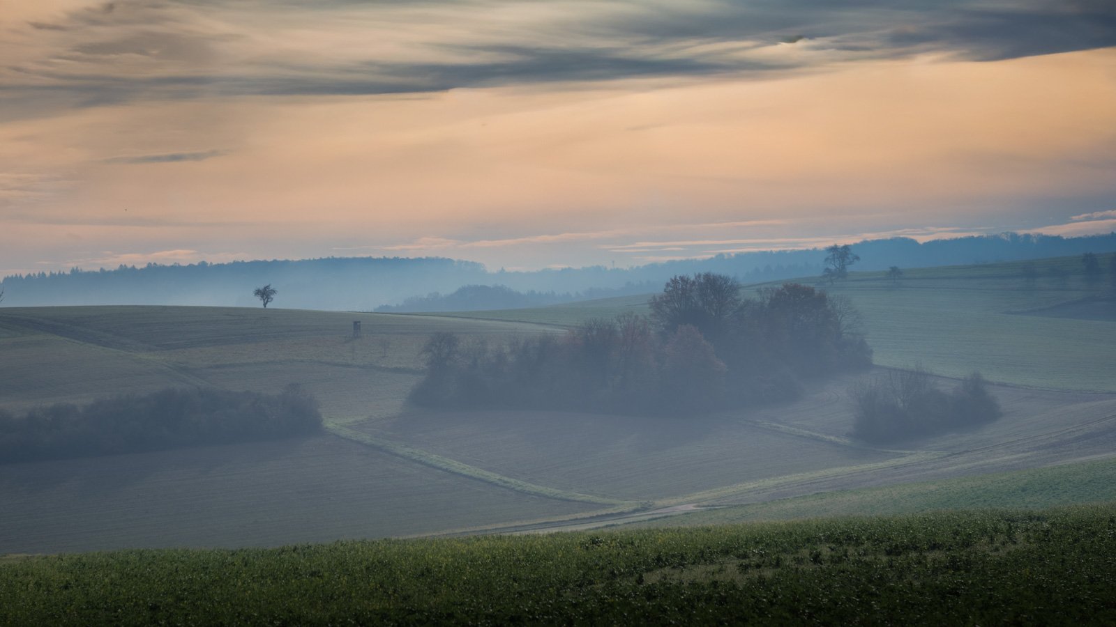 A1204565-Bearbeitet-3-Bearbeitet.jpg