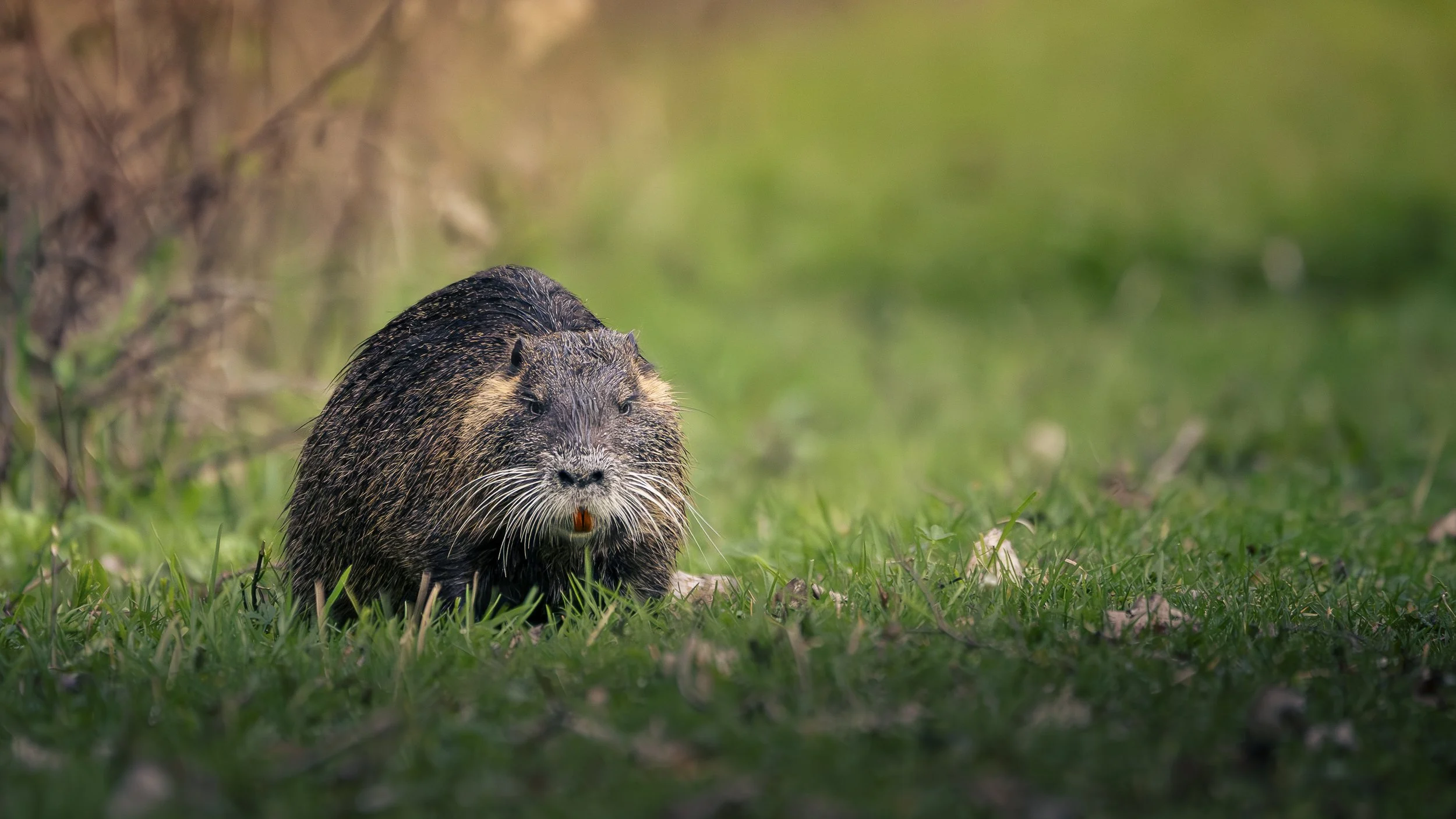 A1201903-Bearbeitet_Final.jpg