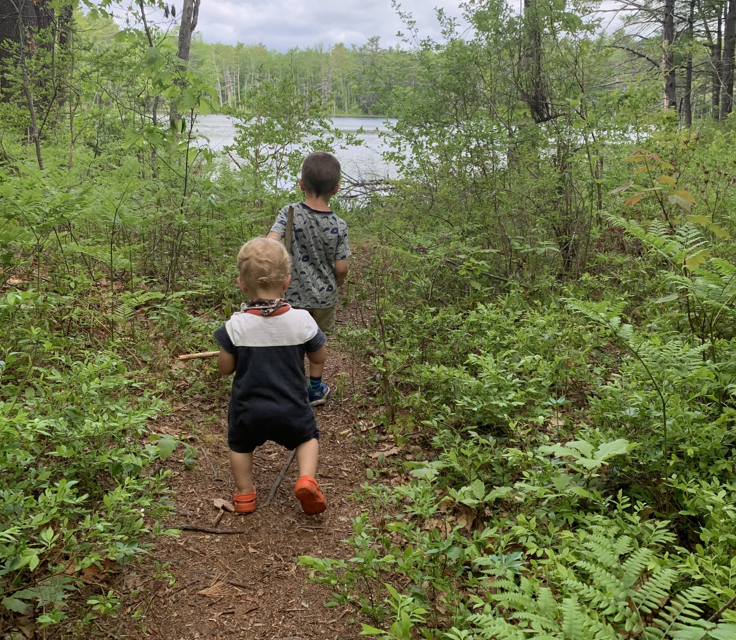 Tick Safety in Maine: What Families and Educators Need to Know.