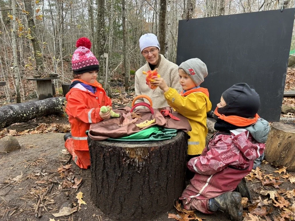 Rooted In Play — Maine Early Childhood Outdoors