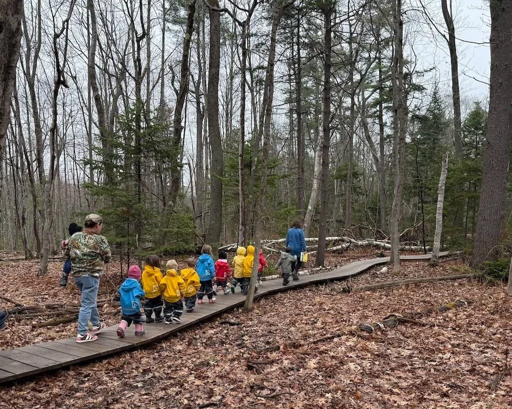 Children walking in the woods in rain gear