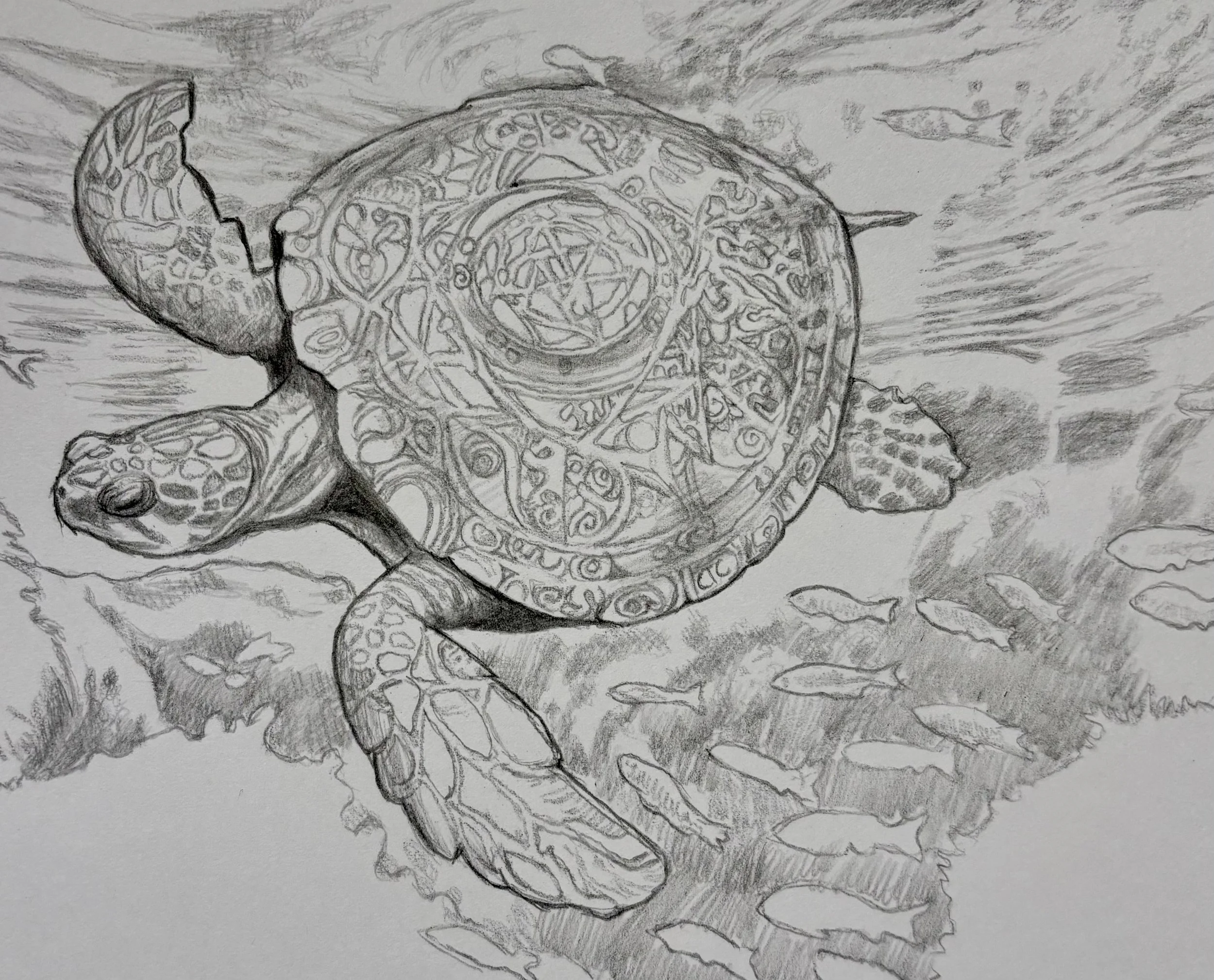 Shellback Turtles — Field Notes of Dr Liora Venn, MirMarnian Naturalist

The Shellbacks of the Emaris are less an animal than a paragraph in the river’s memory, pondered, patient, and inked into the water itself.