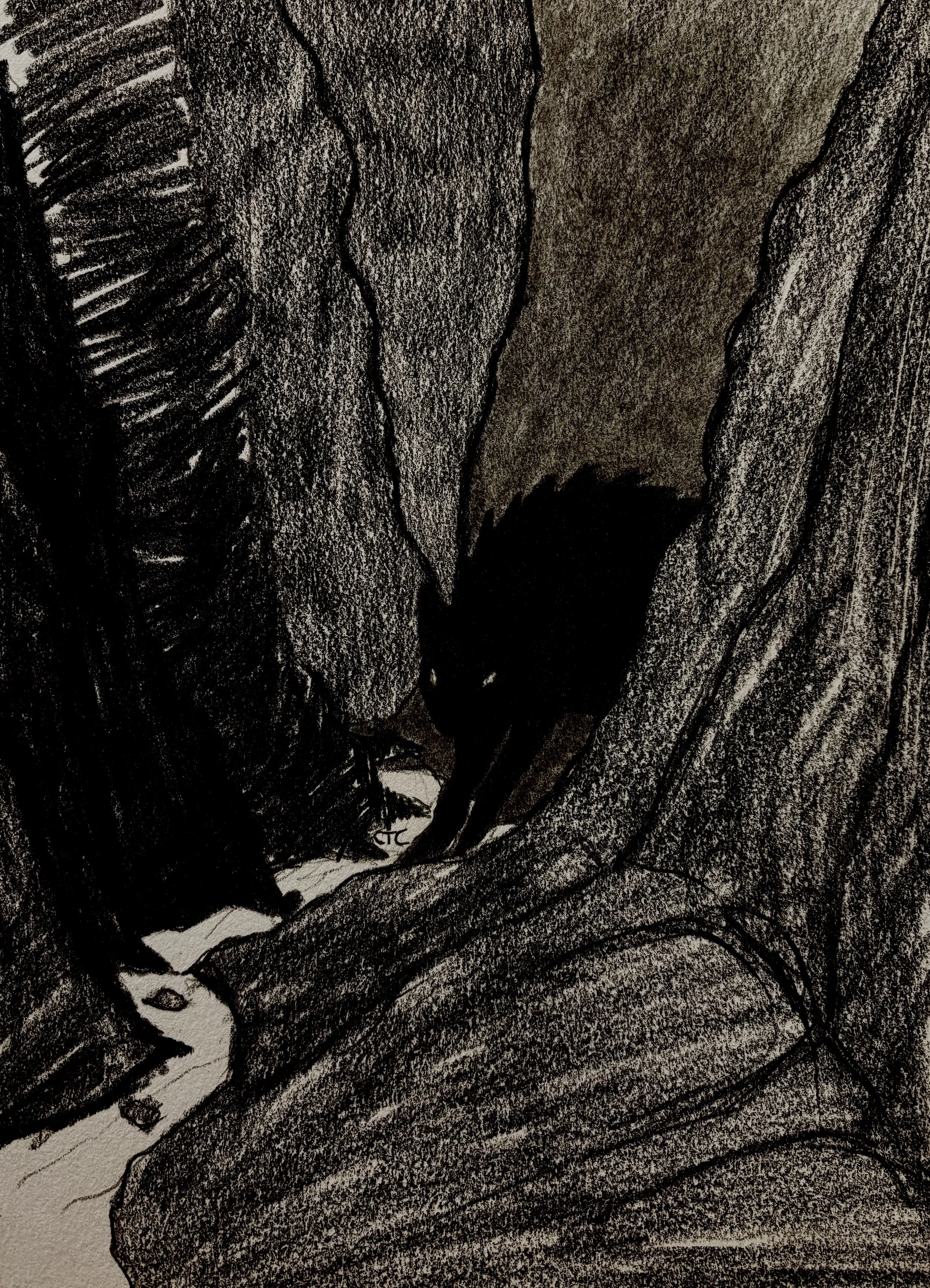 The Virehound is not a beast that announces itself with noise or spectacle. It arrives with a scraping whisper, claws tracing unseen patterns into the stone. 