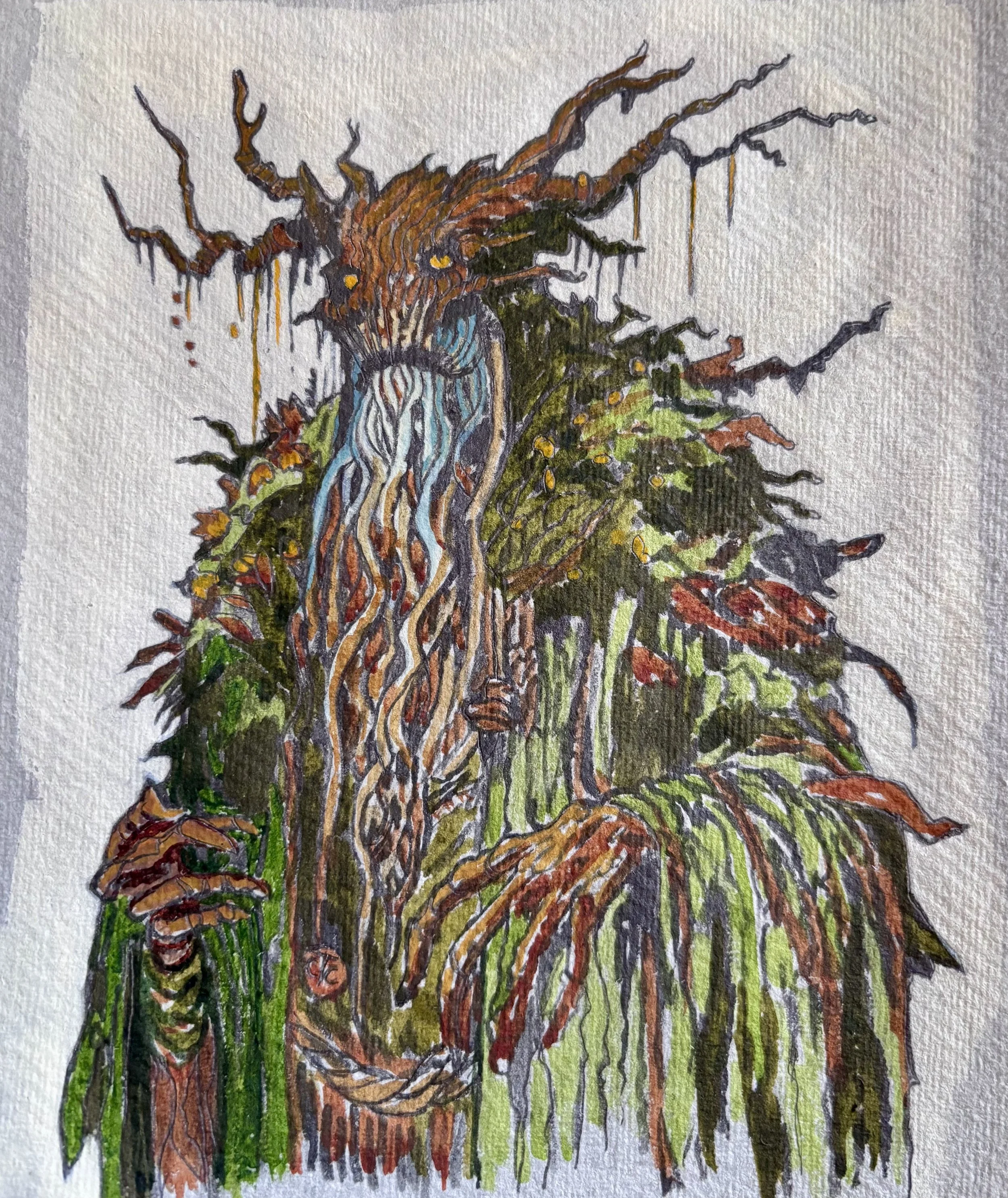 Thornwick, the bark-skinned wanderer - Illustration