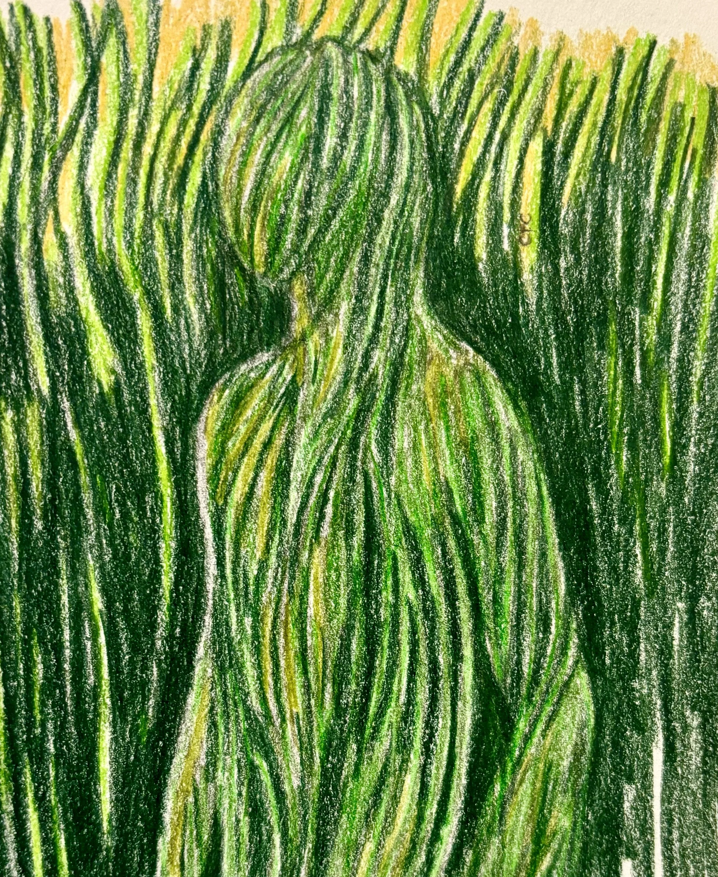 Chapter 14: Home of the Pogonariel