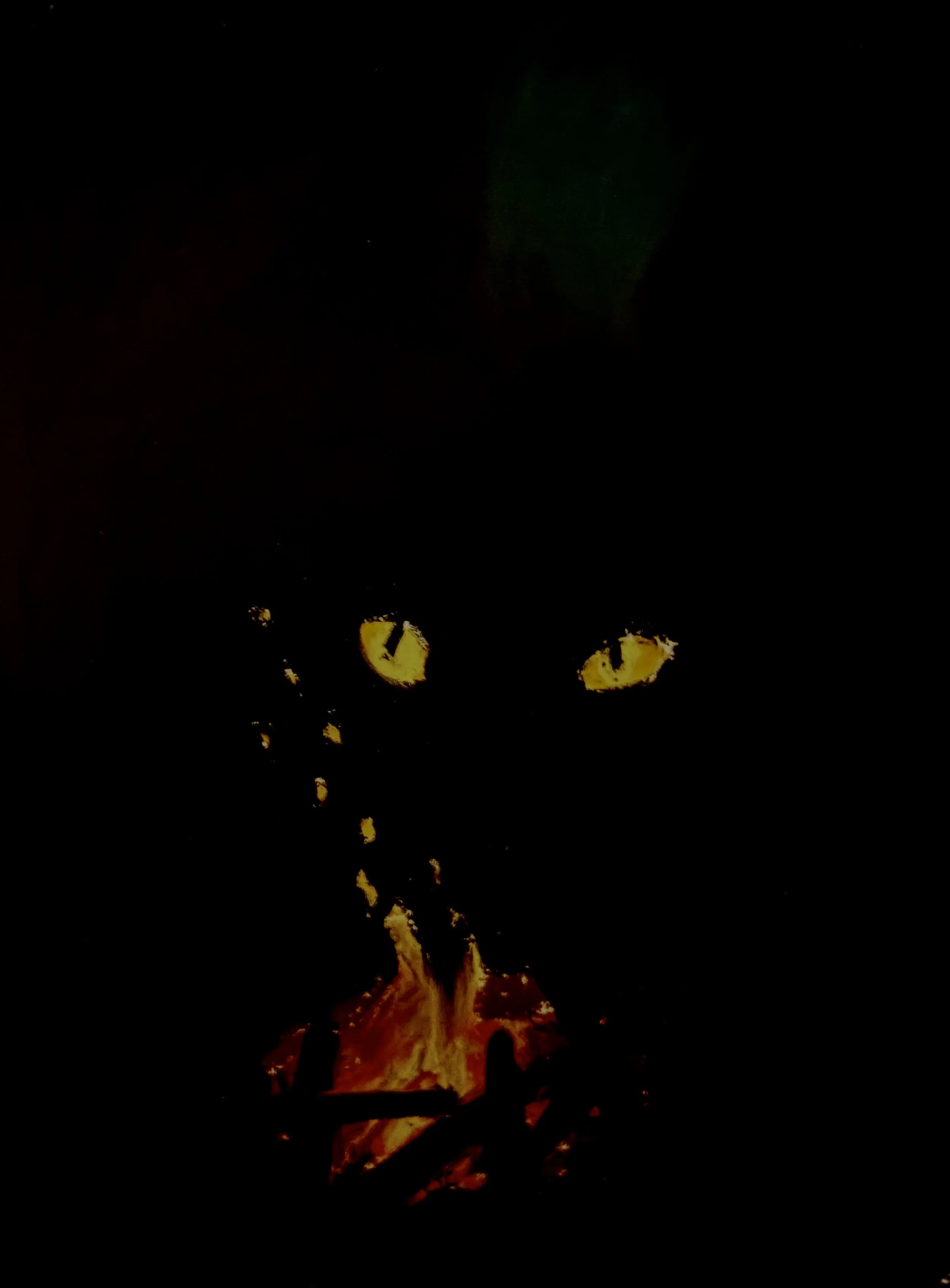 Chapter 11: Night in the Ravines