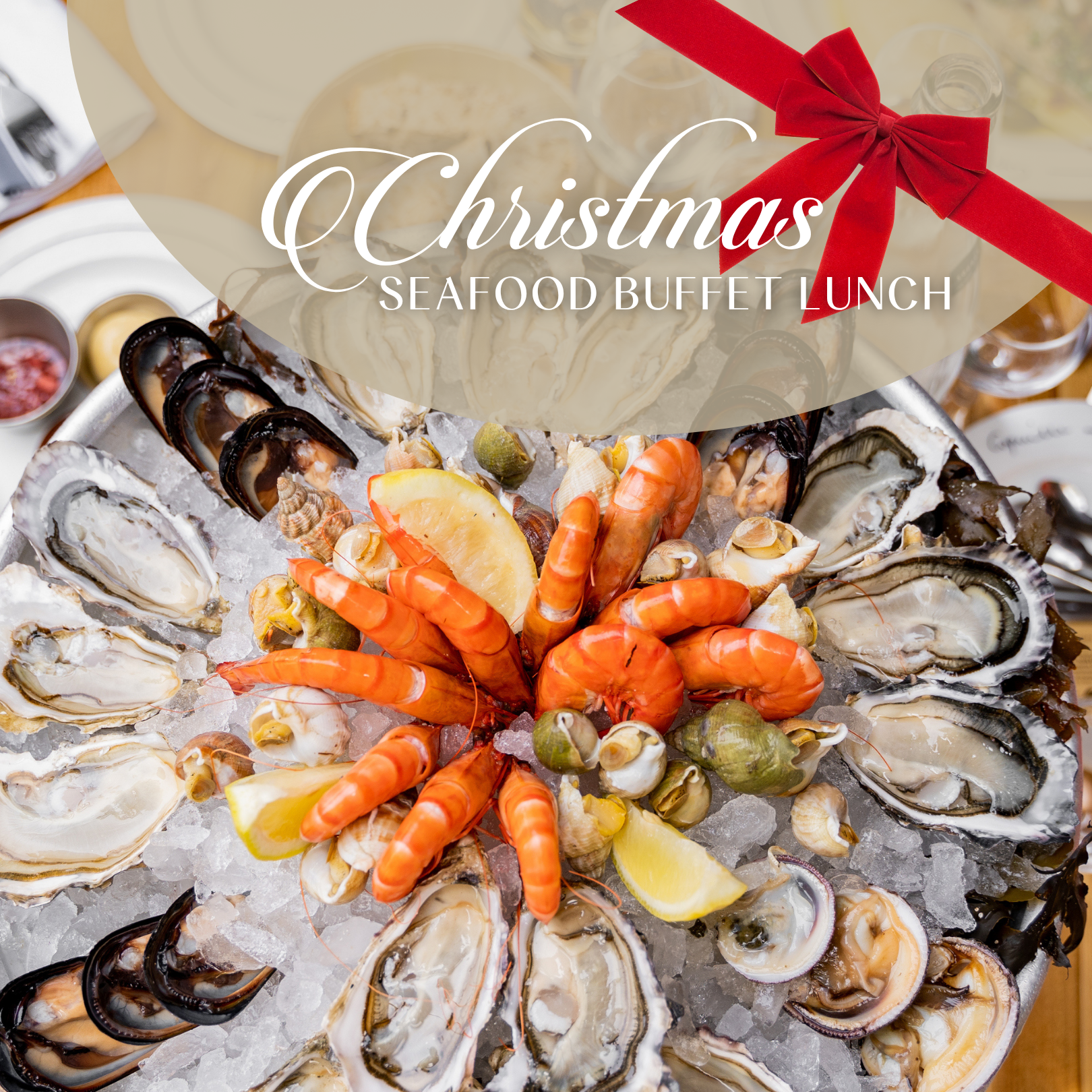 Square Ads BROOKSY 2026 (6).png