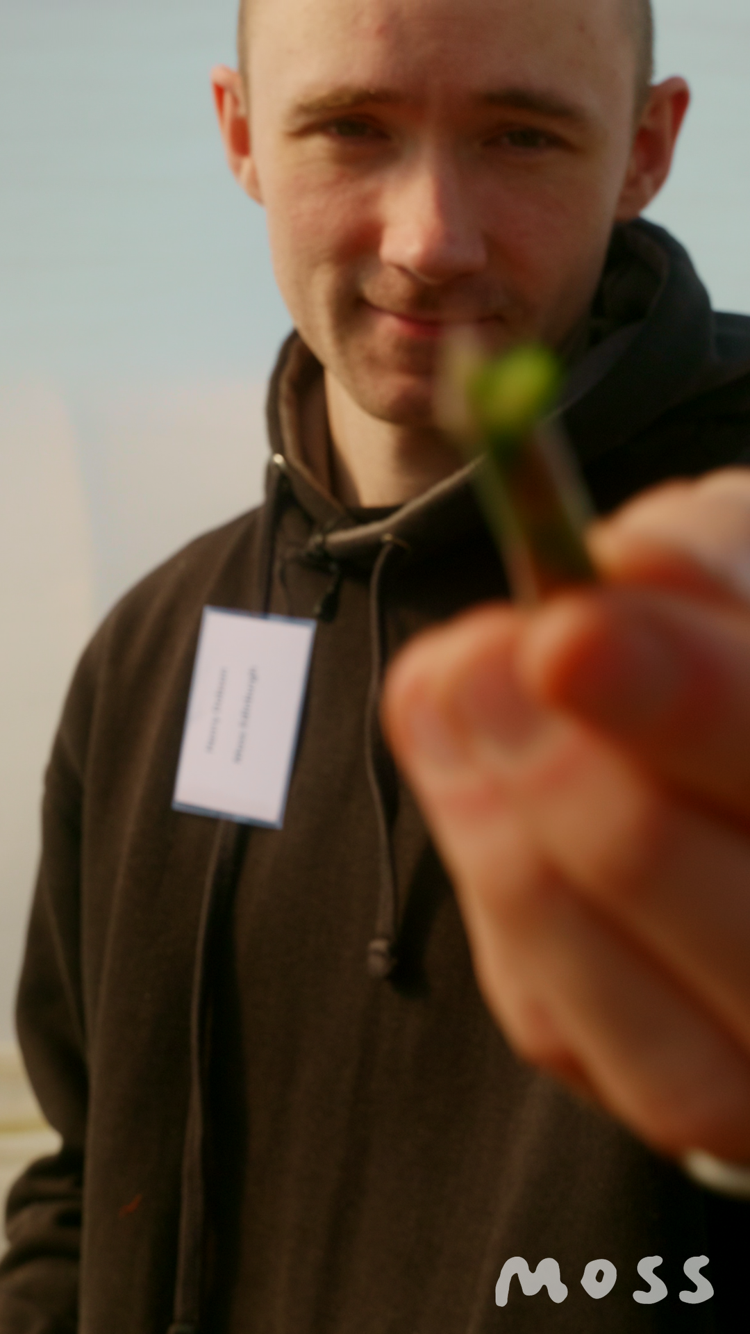 Asparagus_6.1.1.png