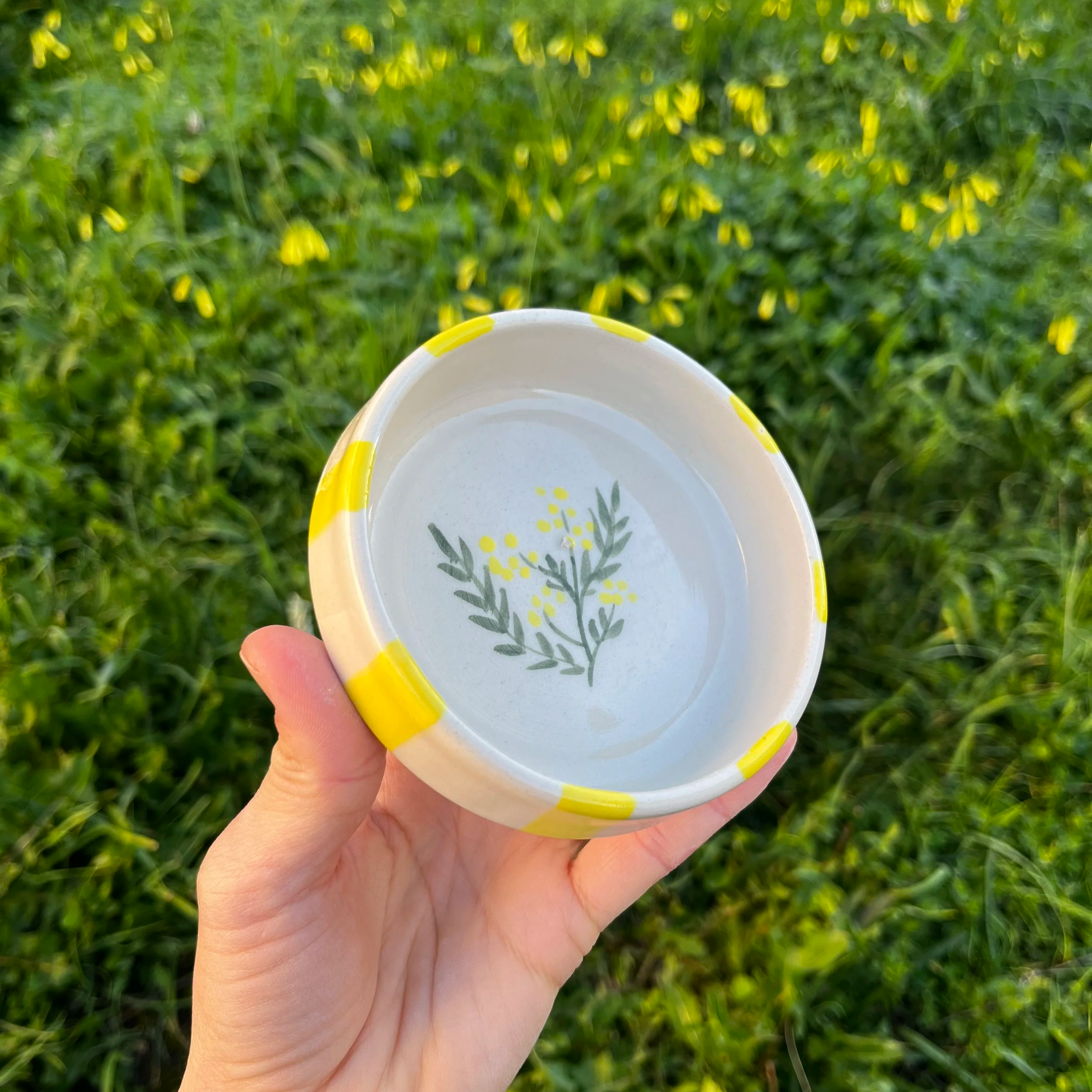 🌼 Coupelle Mimosa