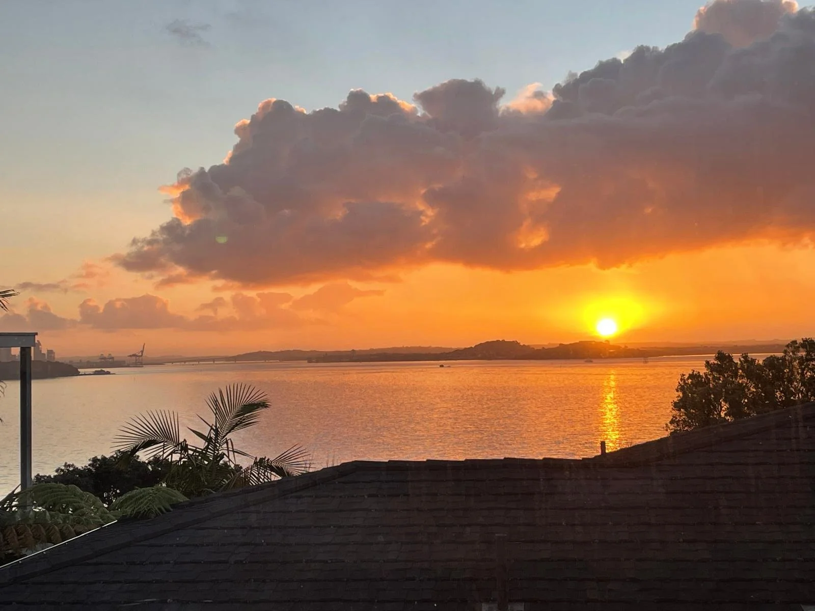 Springcombe sunsets