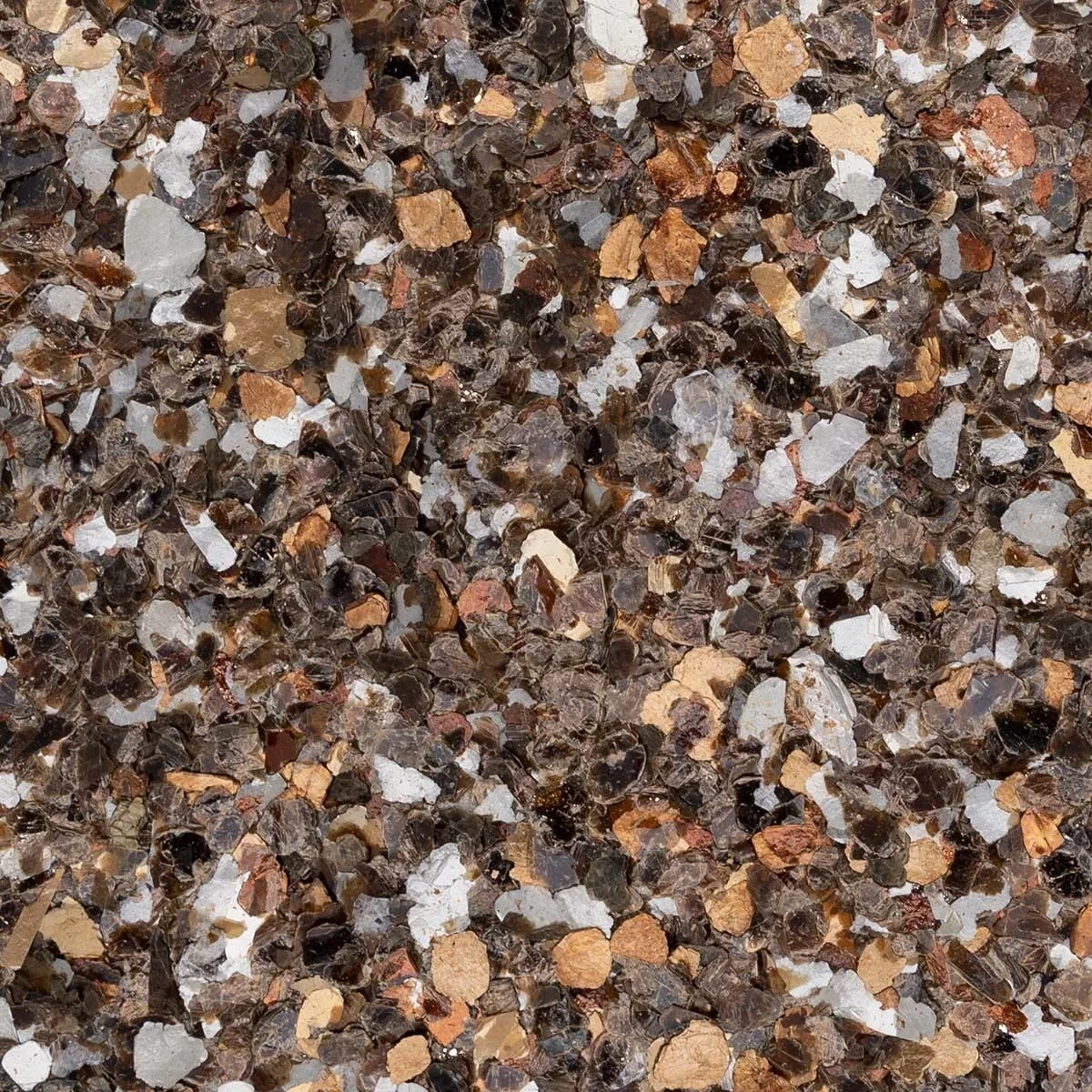 TORTOISE-SHELL copy.jpg