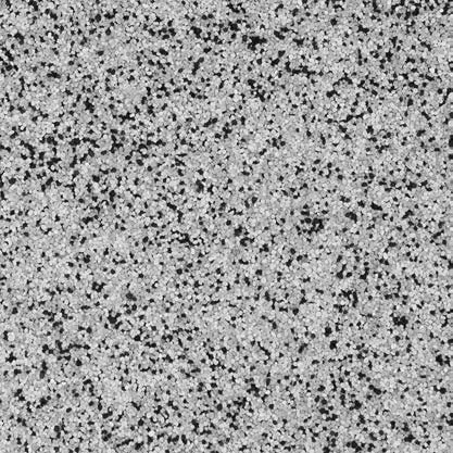 Dalmatian QB-1007.jpg