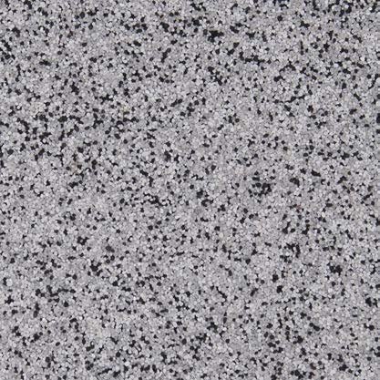 Dalmatian QB-1007.jpeg