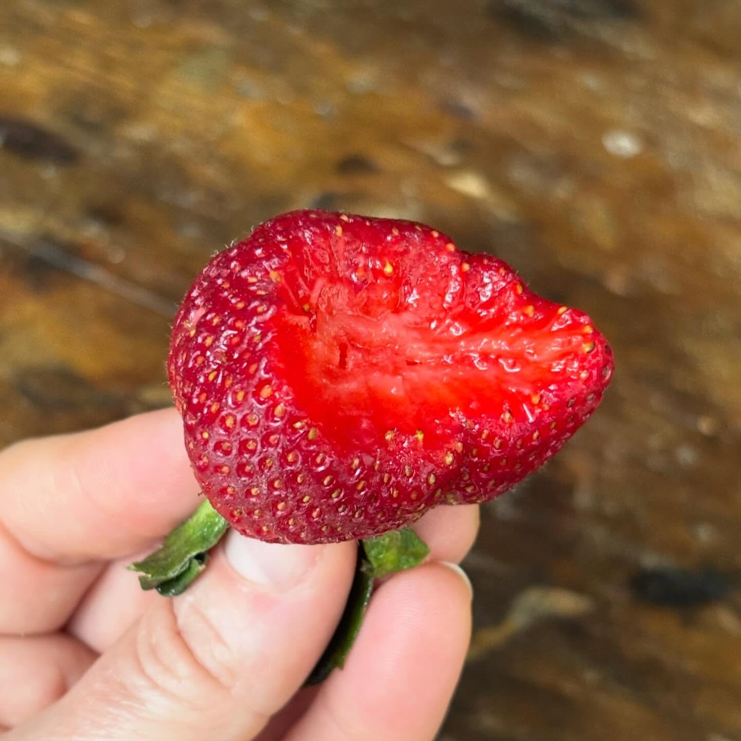 First of the season 😍 @hwy19produce