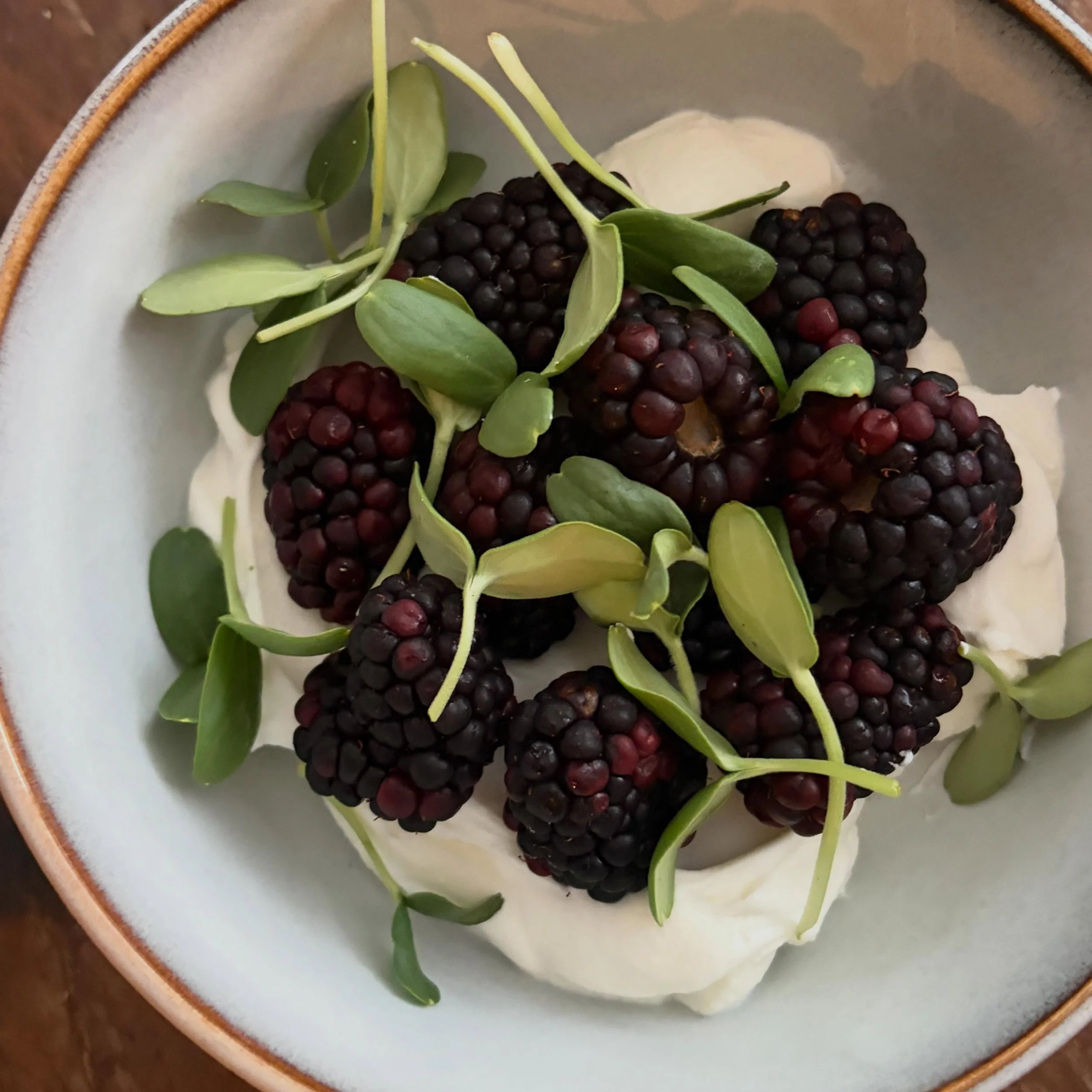 Blackberry season 😍 with a little Greek yogurt and the last of my @parisnaturalfarms cantaloupe sprouts.
#eatlikeafarmer