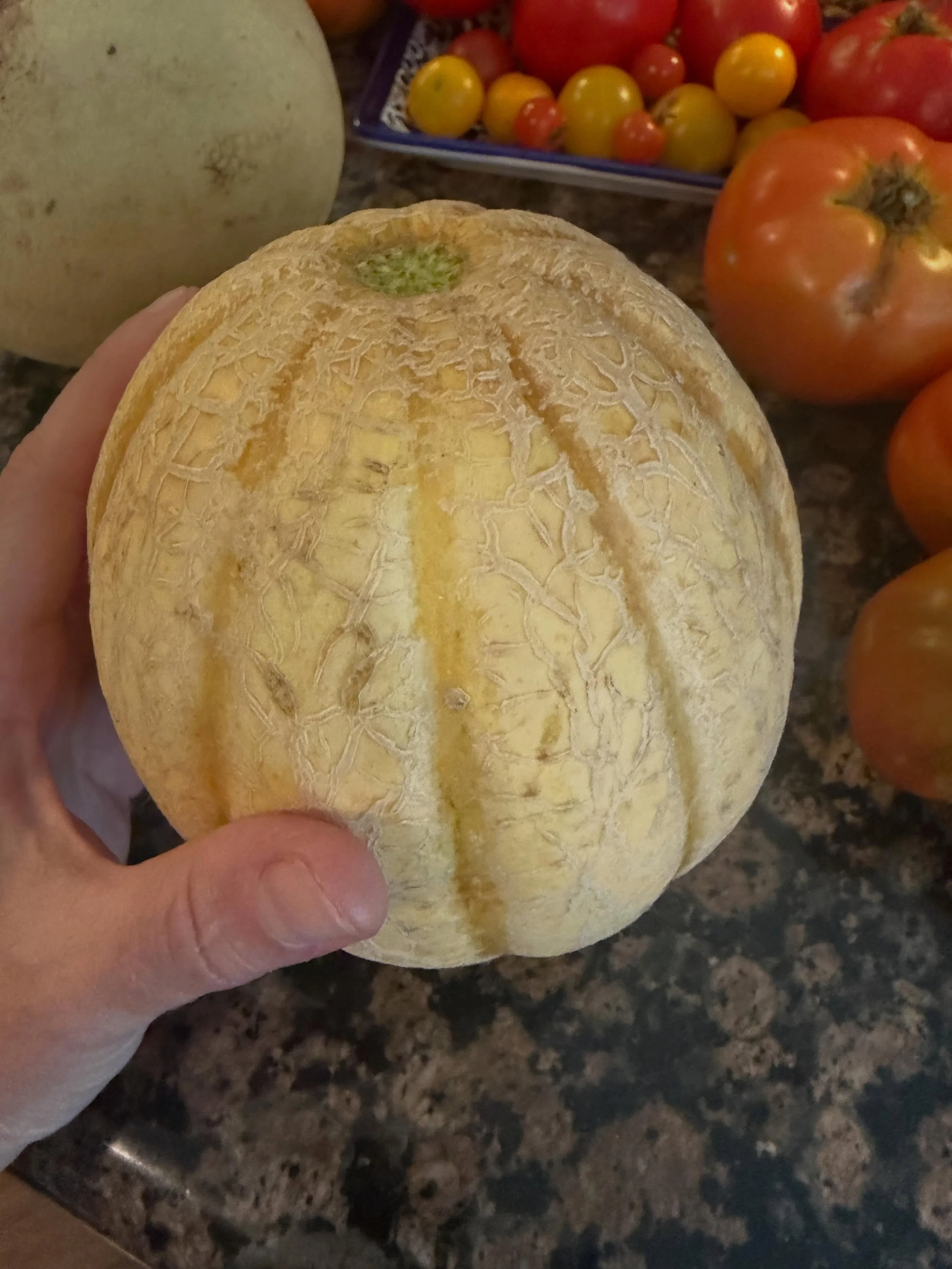 First melon of the season, this is Hannah&rsquo;s Choice. I have to stop and pick up some prosciutto tomorrow.
