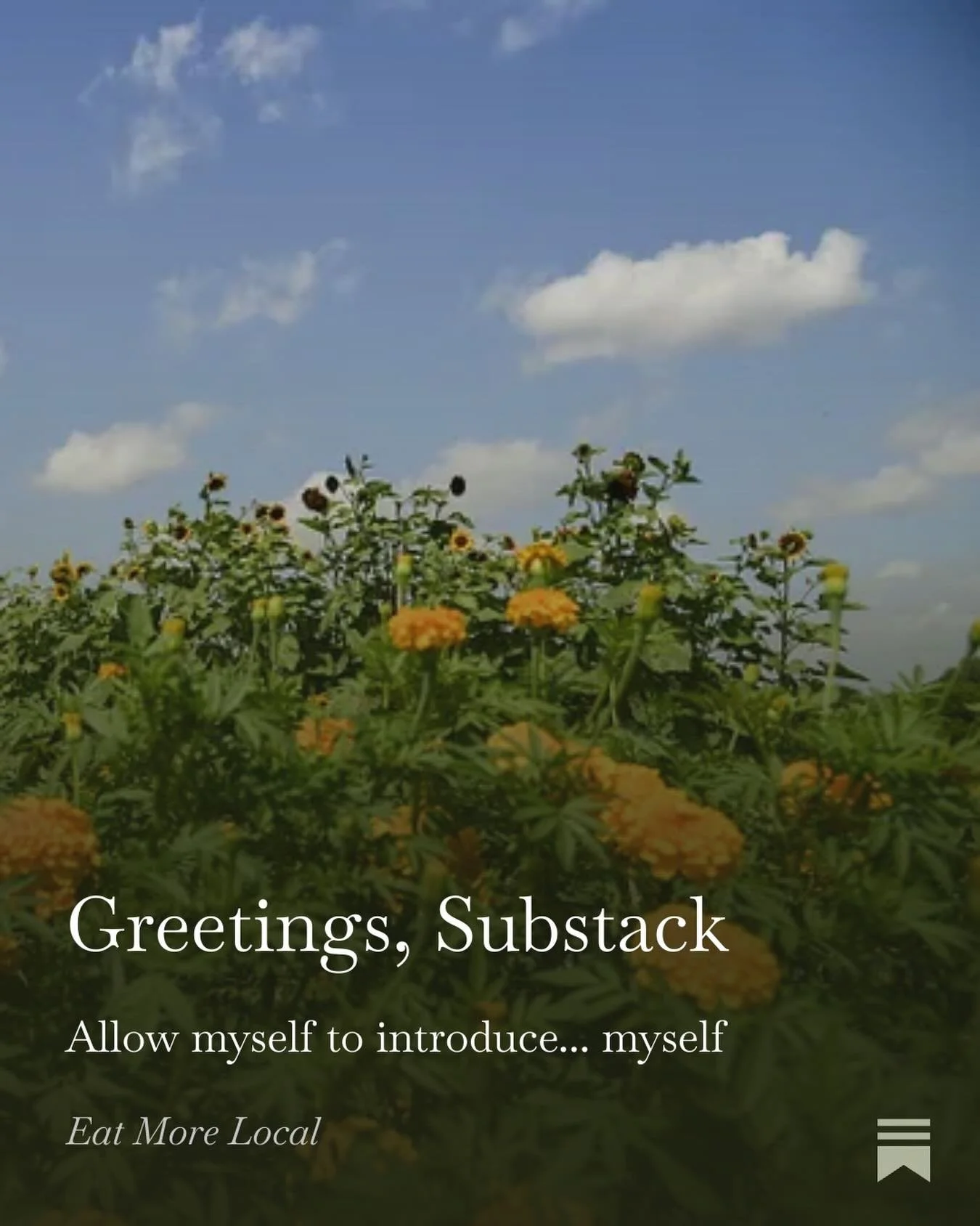 Finally got my Substack off the ground! Subscribe for free - link is in my profile. Yeehaw!