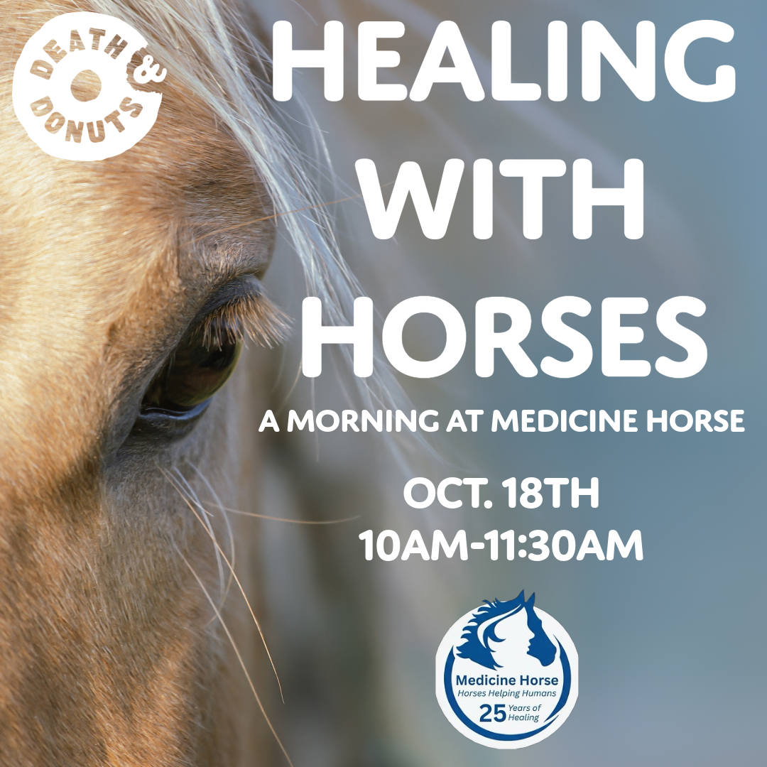 Healing With Horses: A Meditative Morning At Medicine Horse