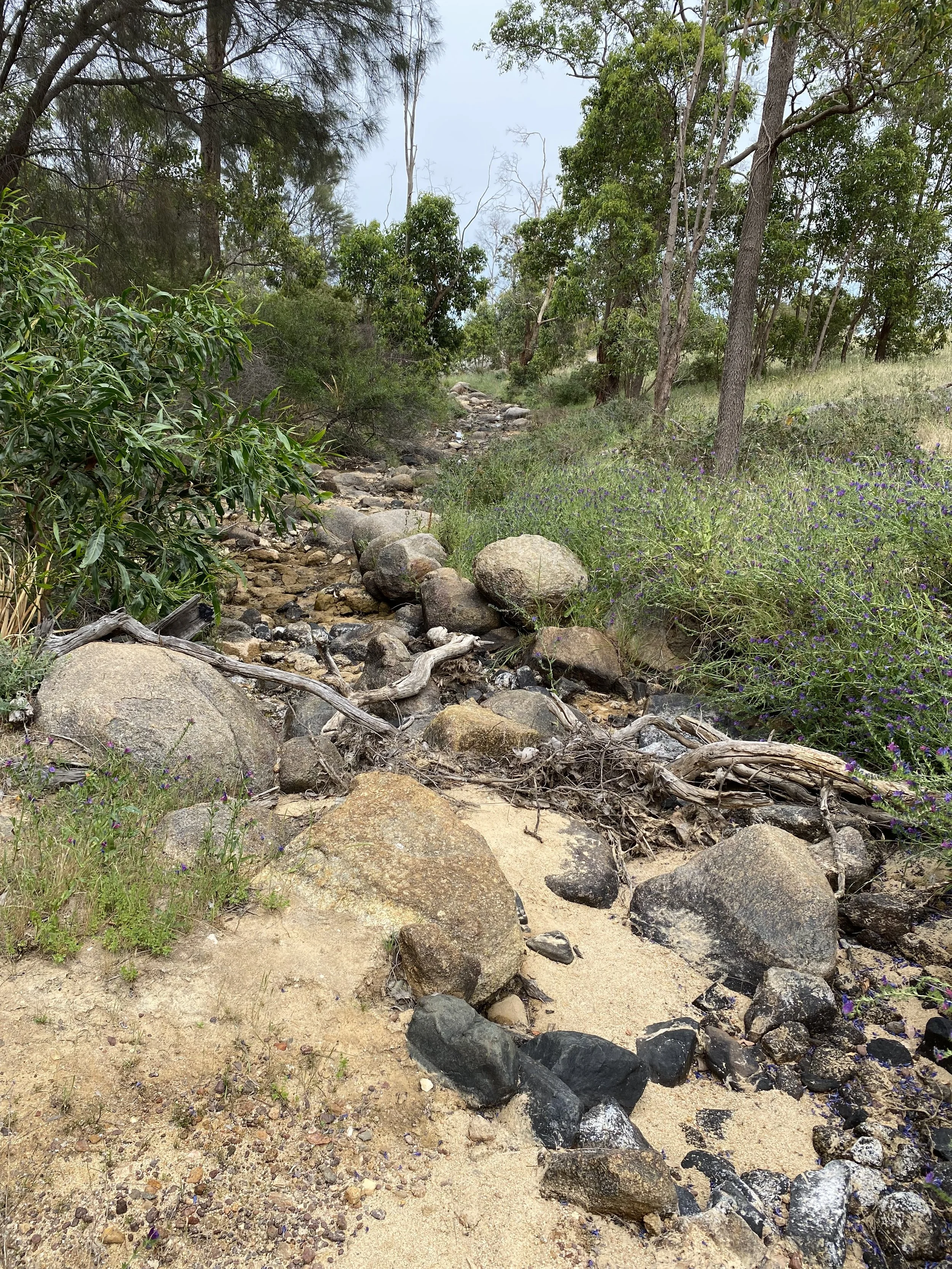 Natural bushland setting with a rocky path winding through.