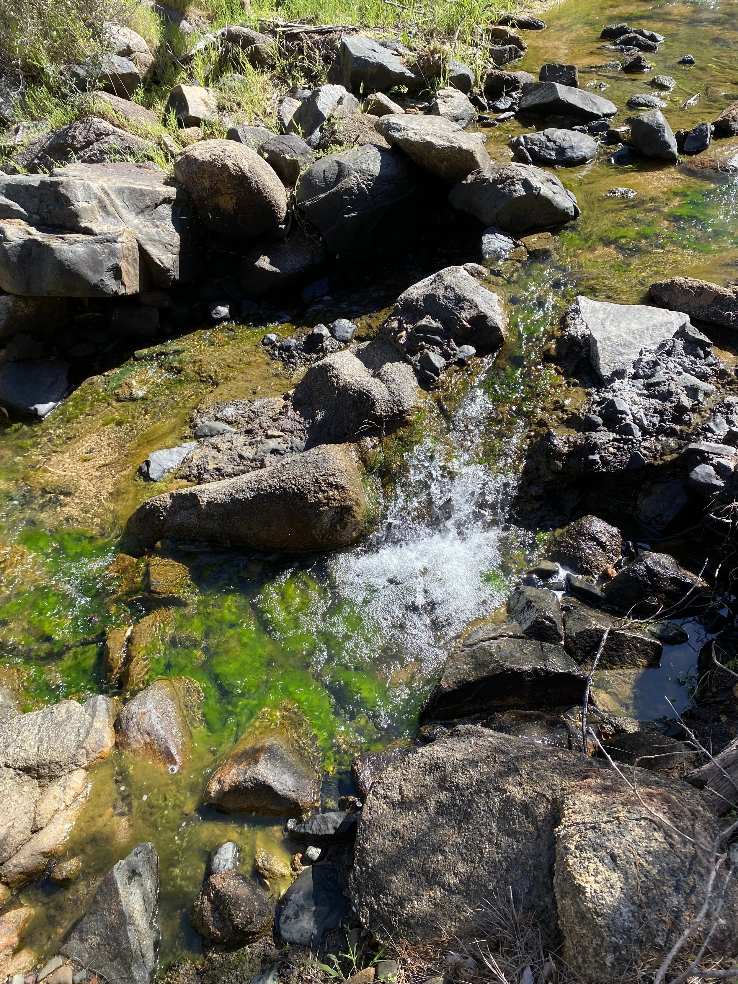 Rocks in a stream of flowing water in a national park near Perth