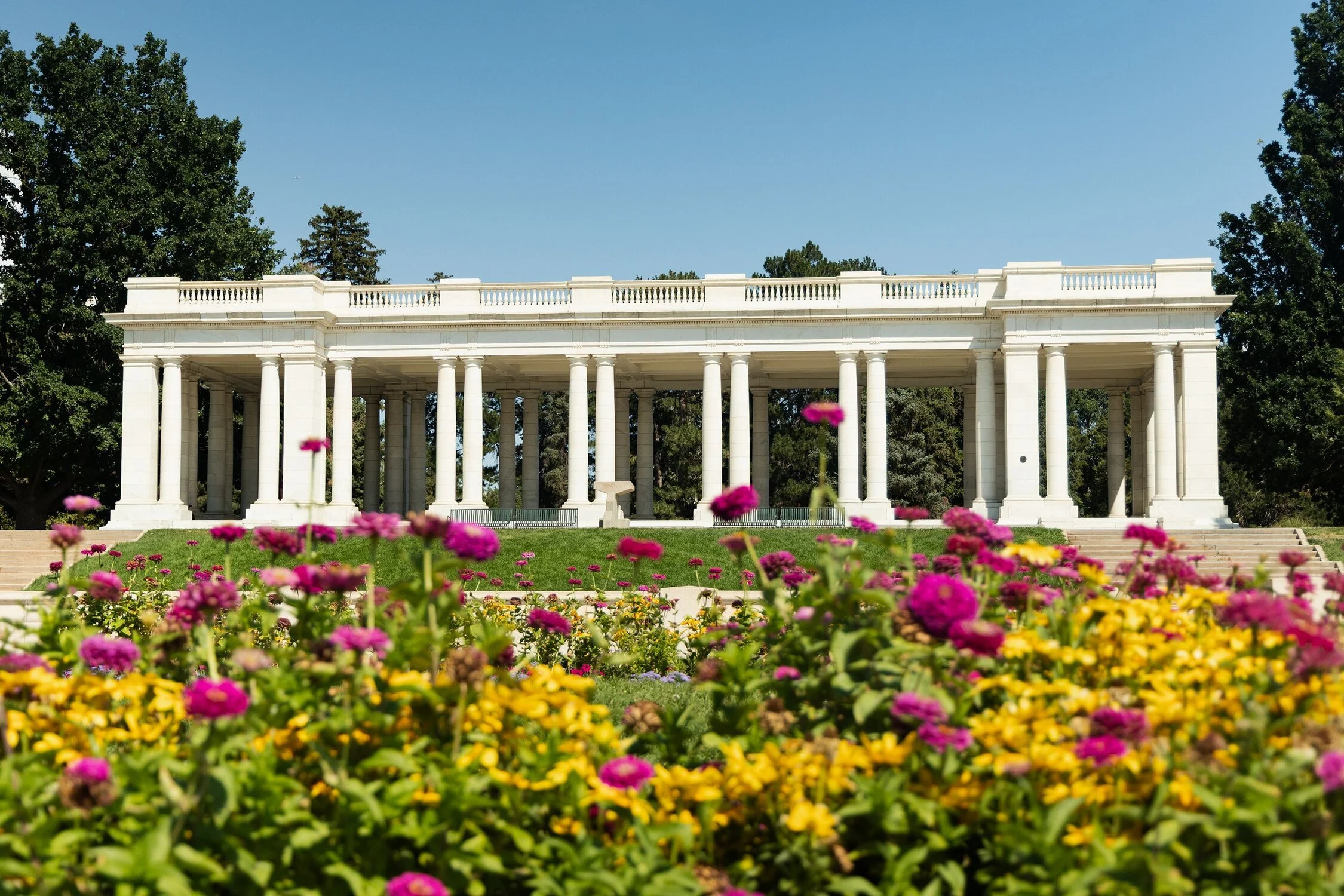 Summer Park Days - Cheesman Park