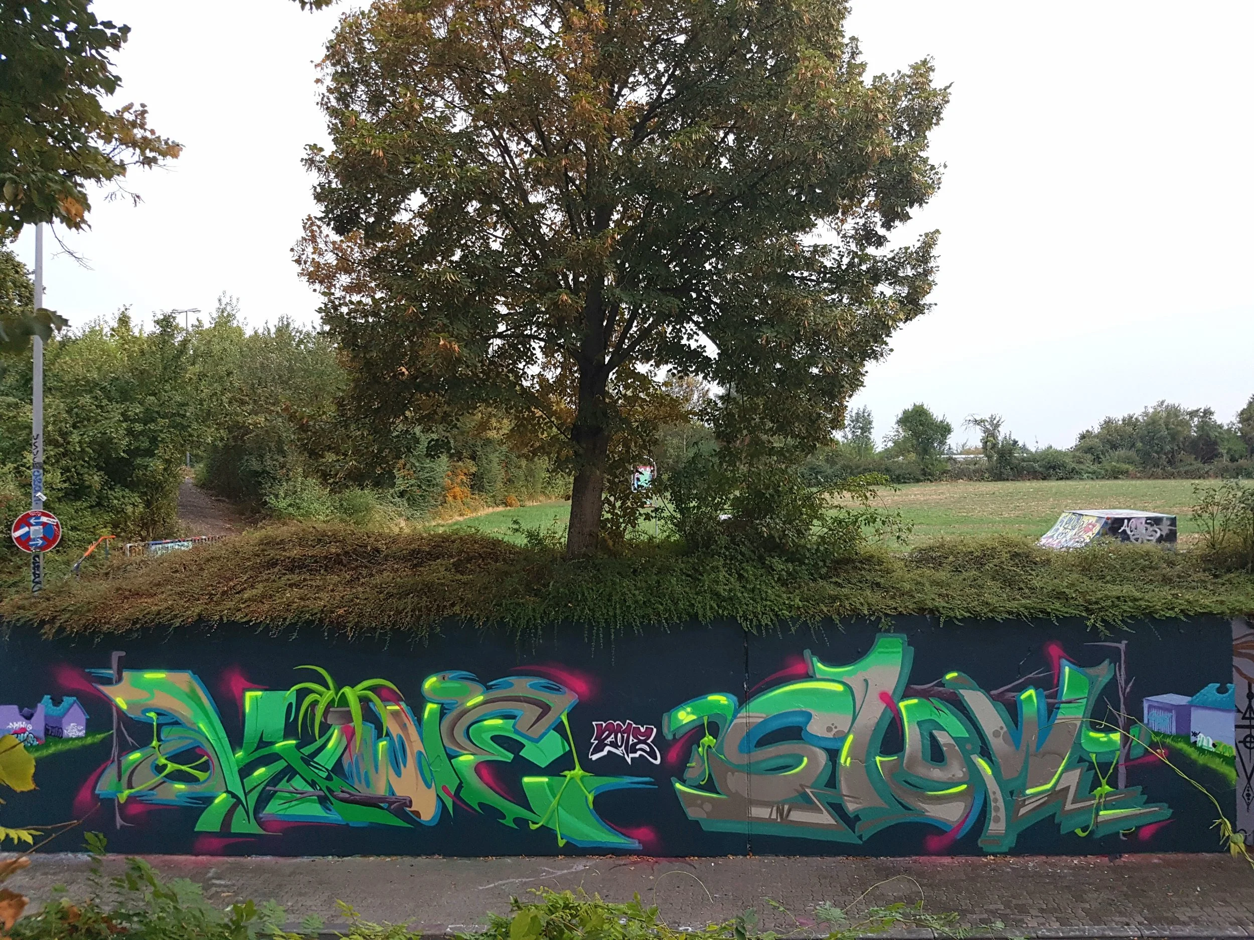 20180907_104117 2.JPG