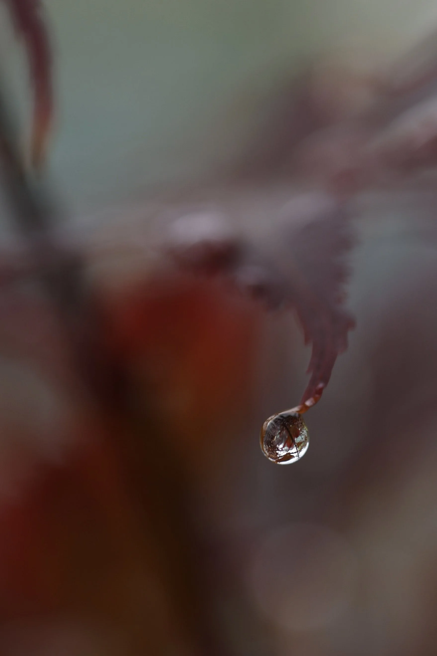 It’s Rained