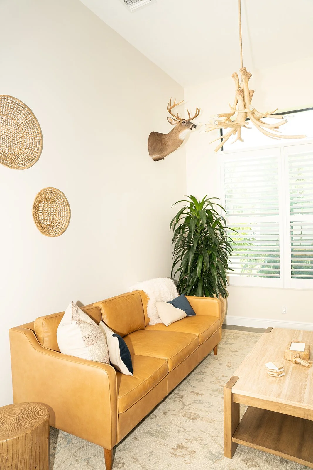 Living room with a mustard yellow sofa, decorative pillows, a large green plant, wall-mounted deer head, and an antler chandelier in a bright space with white walls and horizontal blinds.