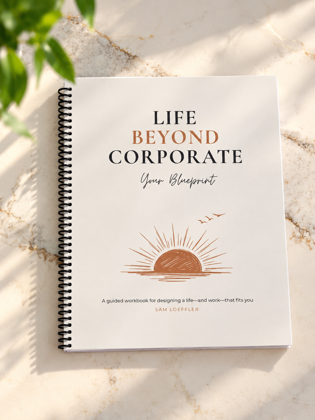 1C0A4628-A9C9-4B53-83E4-FB69E26D240D.PNG