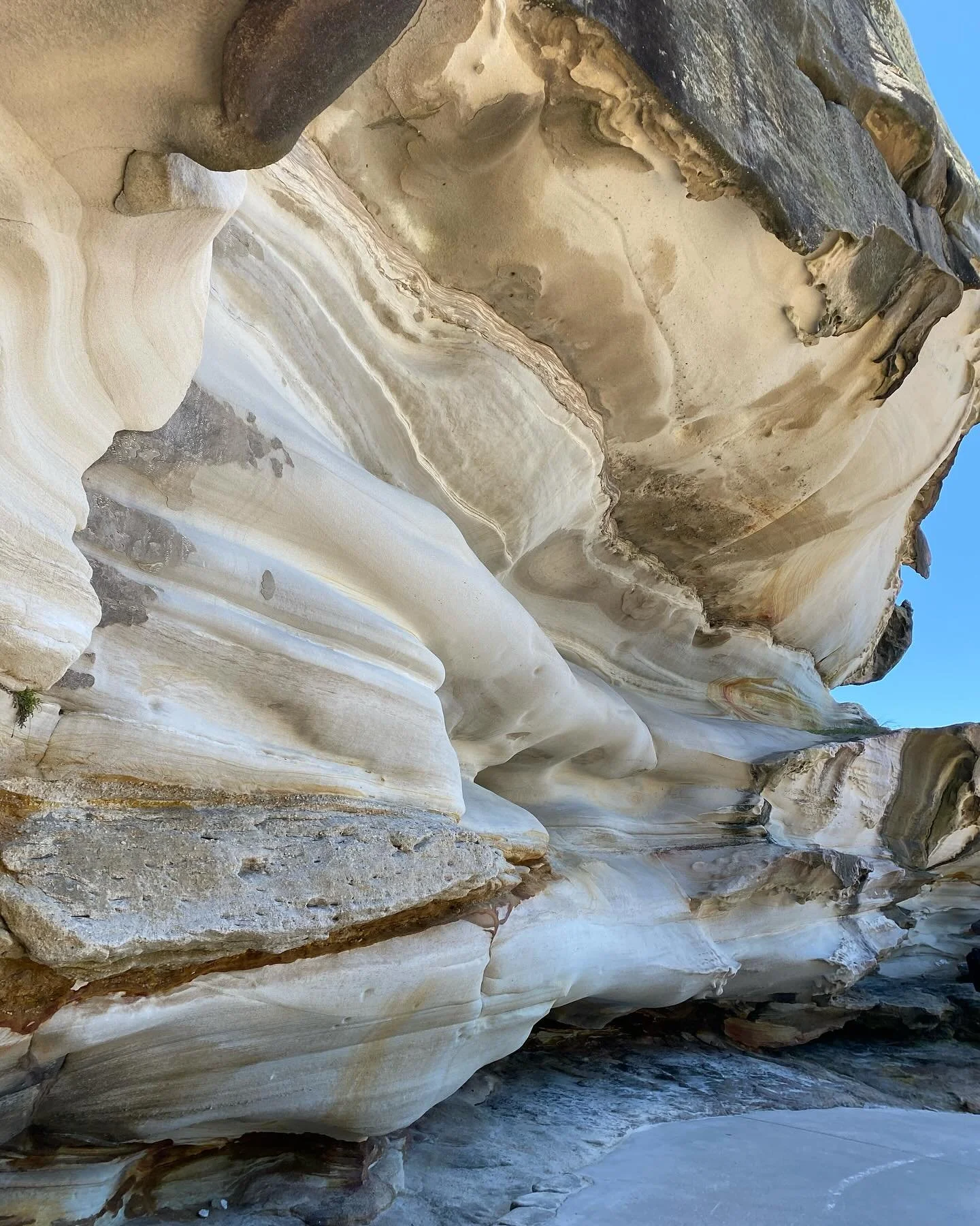 Made by Nature