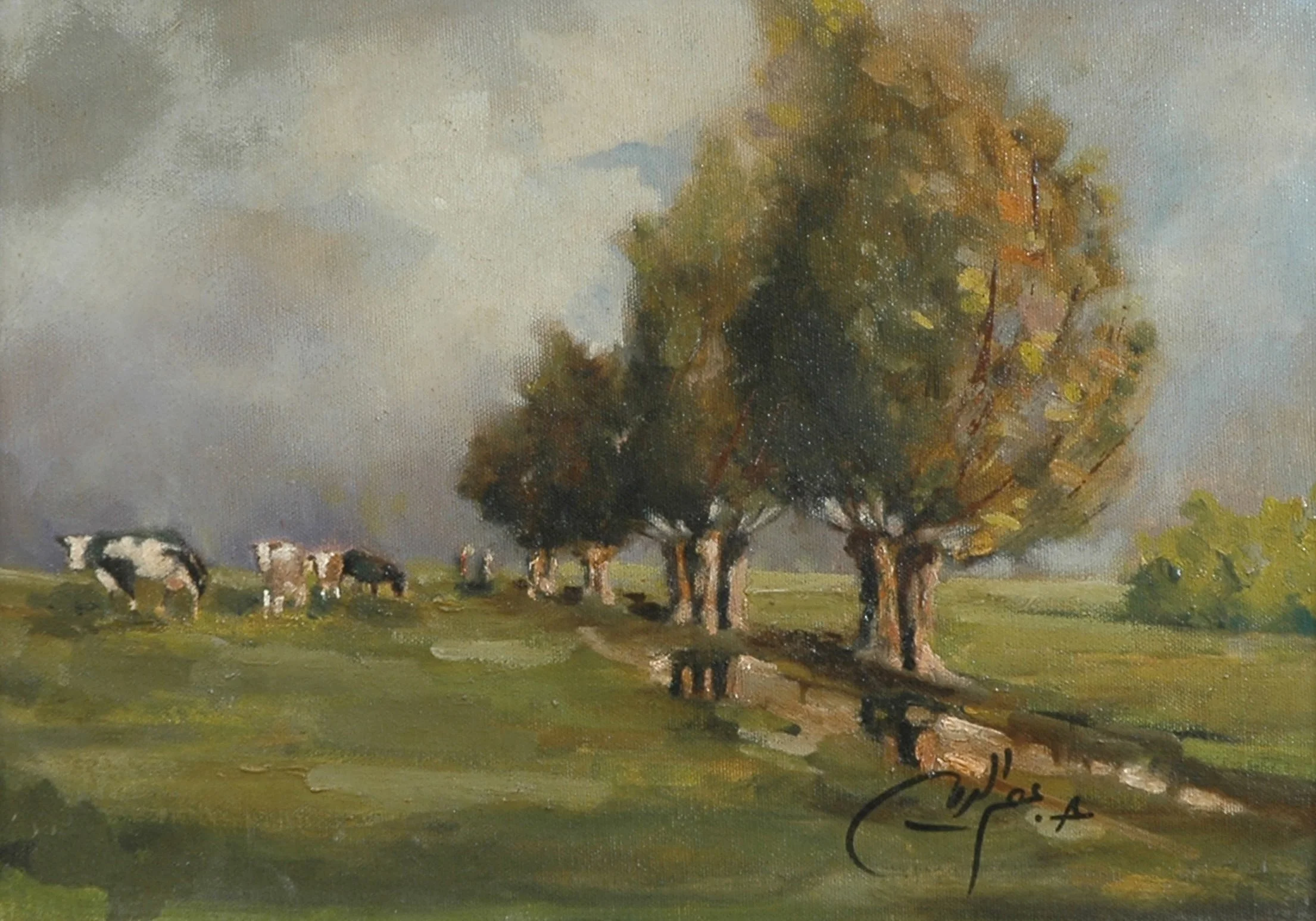 157.jpg