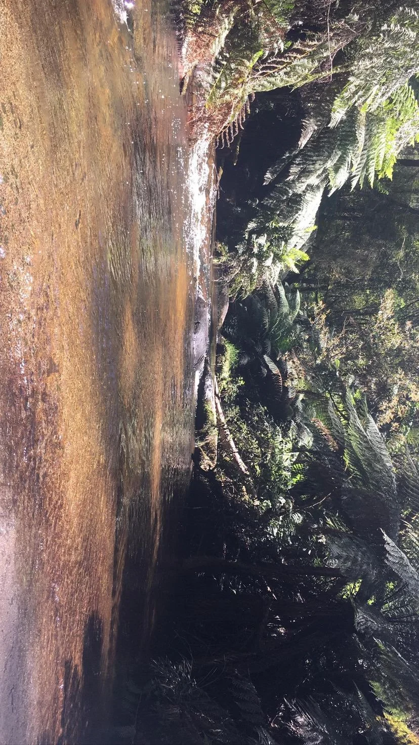 slow: a half day retreat
