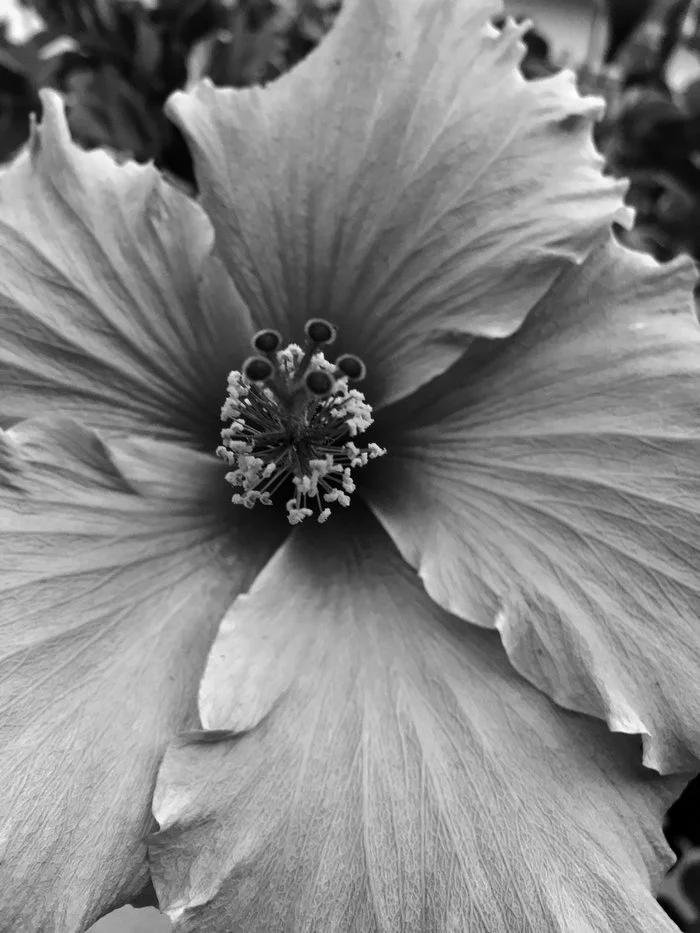 feminine flow : samhain
